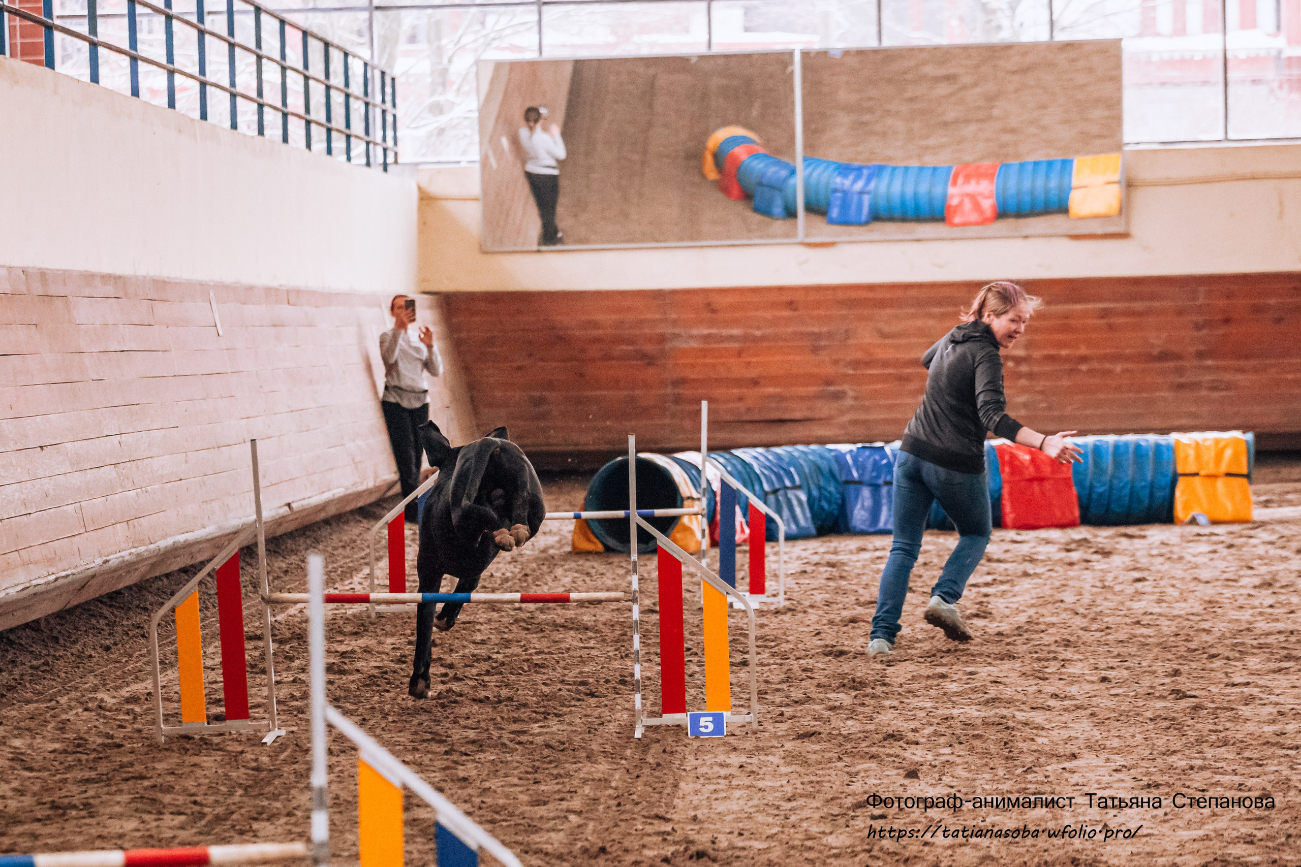 Соревнования по Аджилити 25.02.2024. Фотограф-анималист Татьяна Степанова
