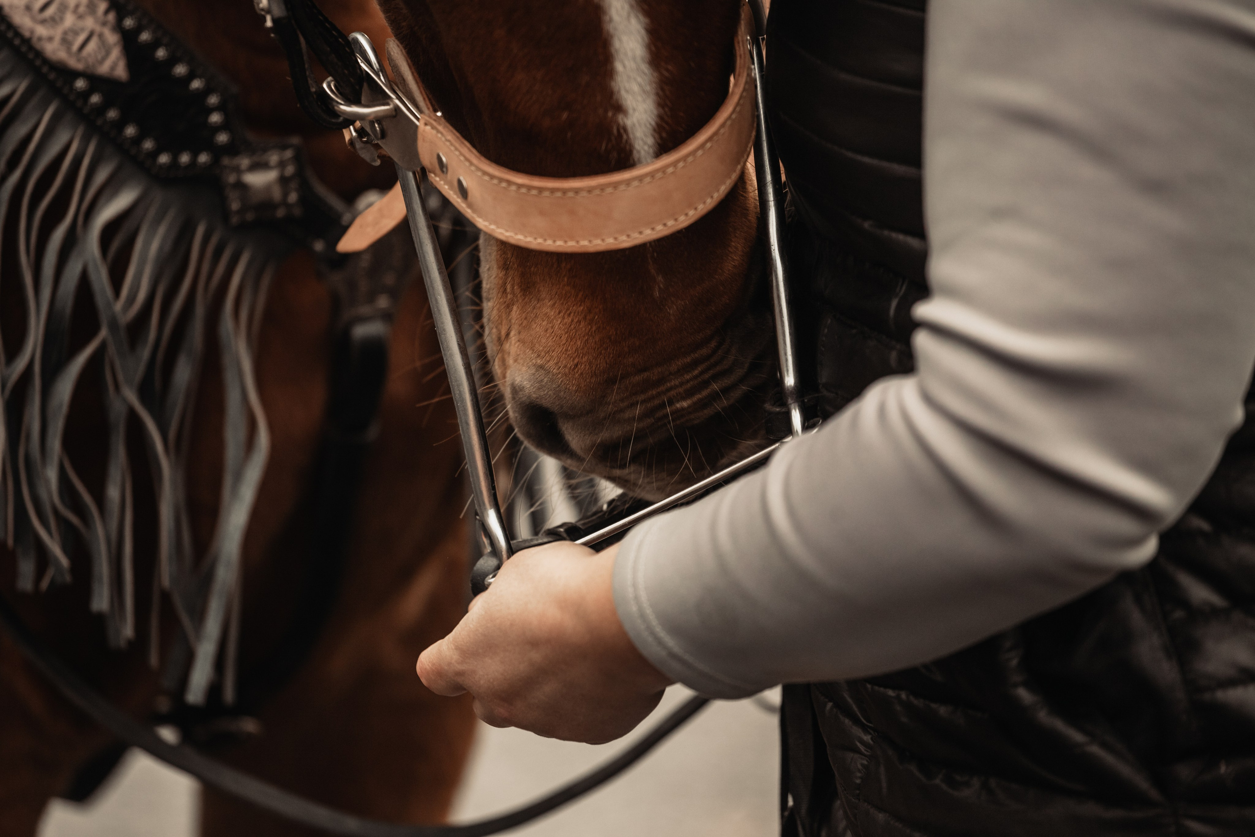 Лена и Рэджи. Фотограф-анималист Татьяна Степанова