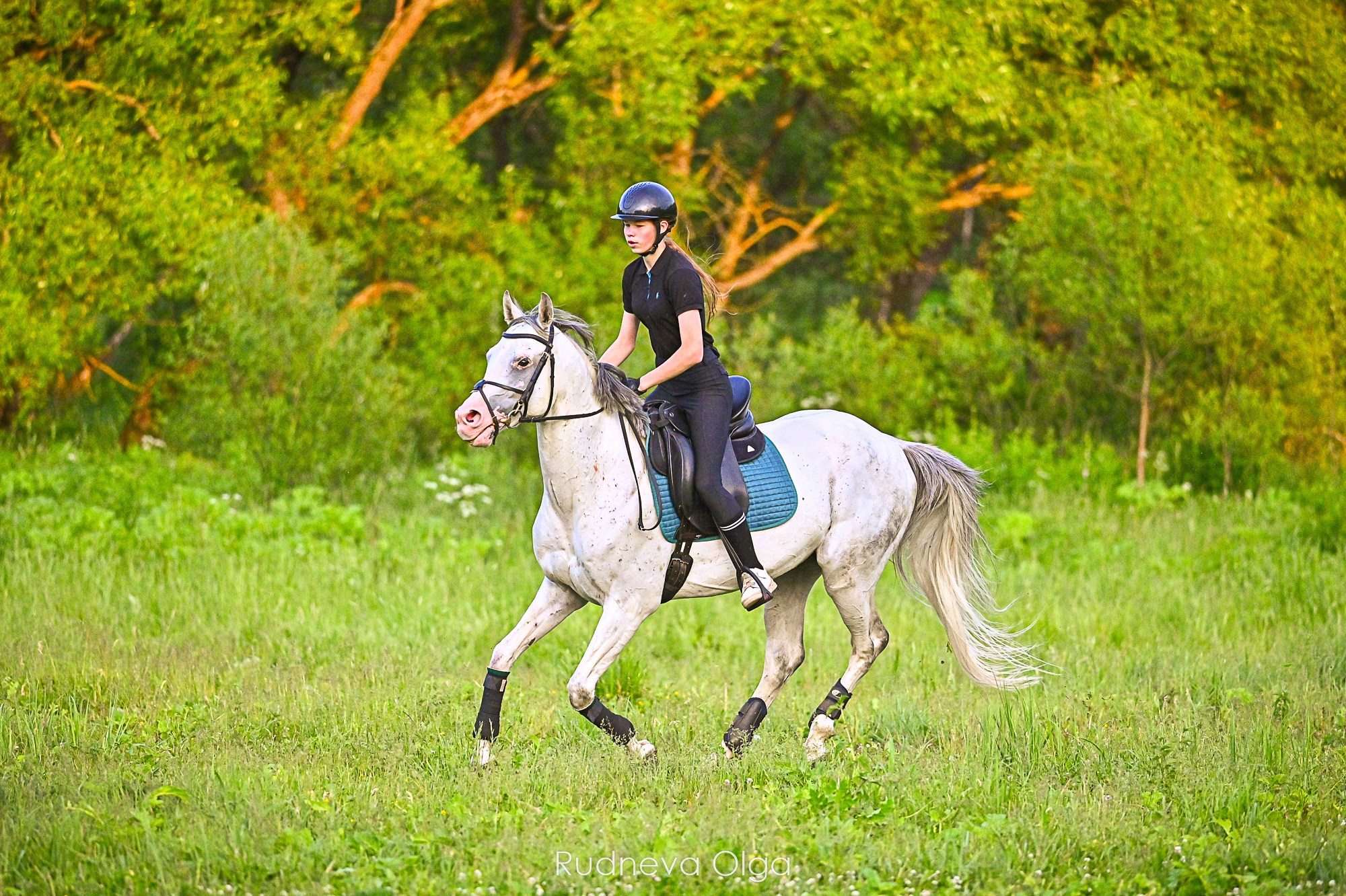Тренировка КСК Сынково. ТУРНИРНАЯ КОННАЯ ФОТОГРАФИЯ, Руднева Ольга и Евгений Адеев