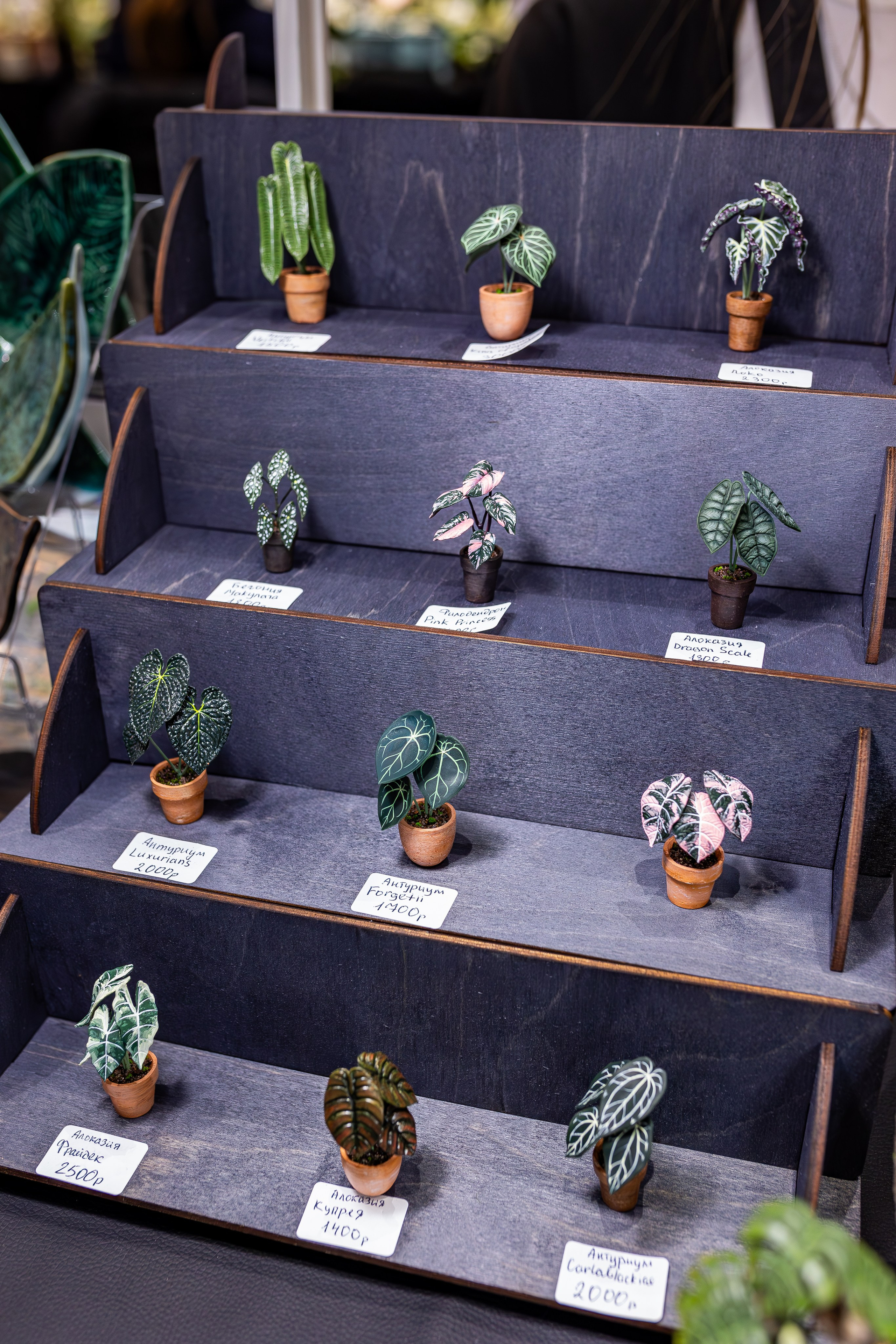 Монстериум апрель 2025. Александра Куликова фотограф, Москва