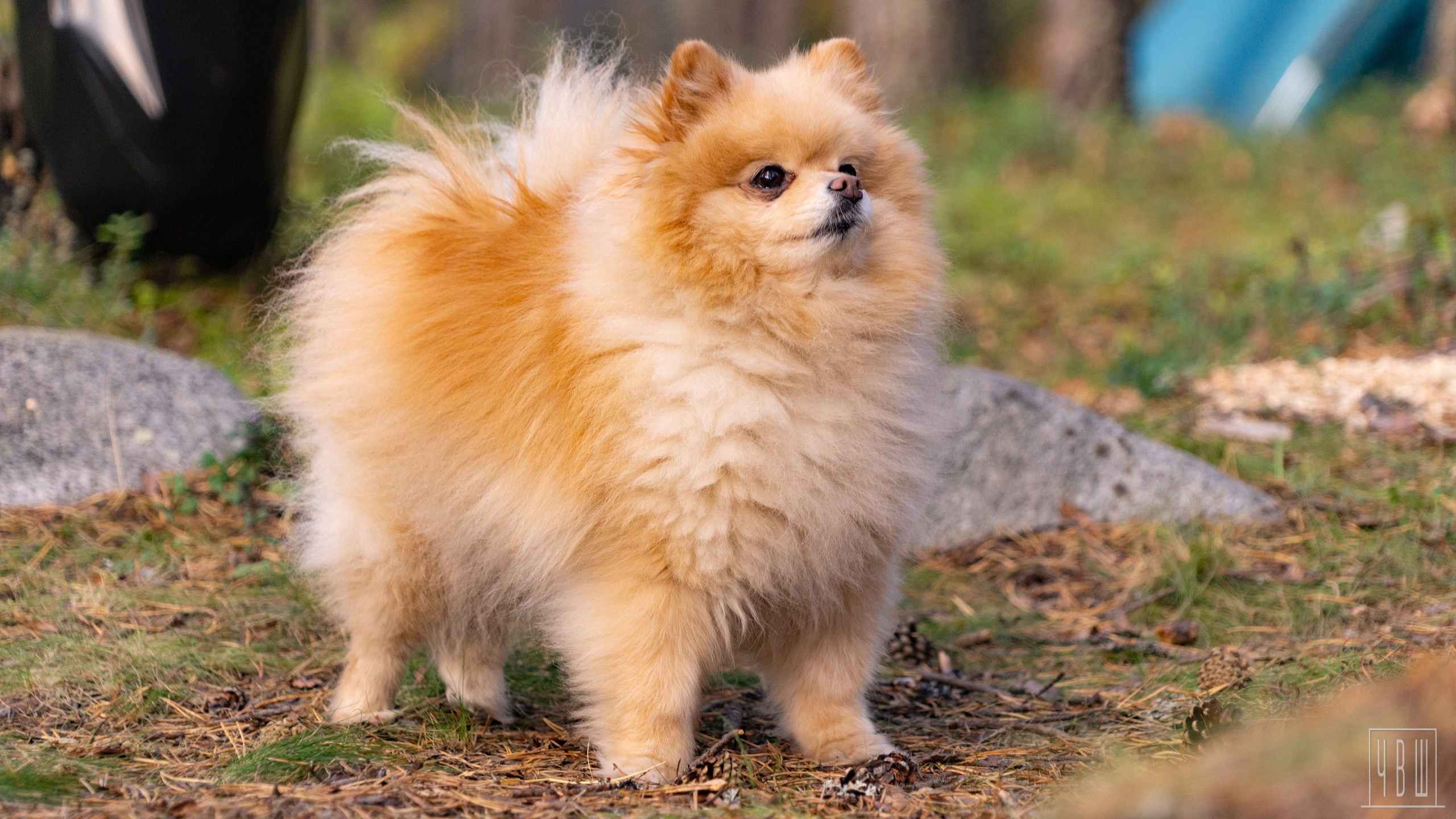 Мурманск 2025. Человек в Шляпе