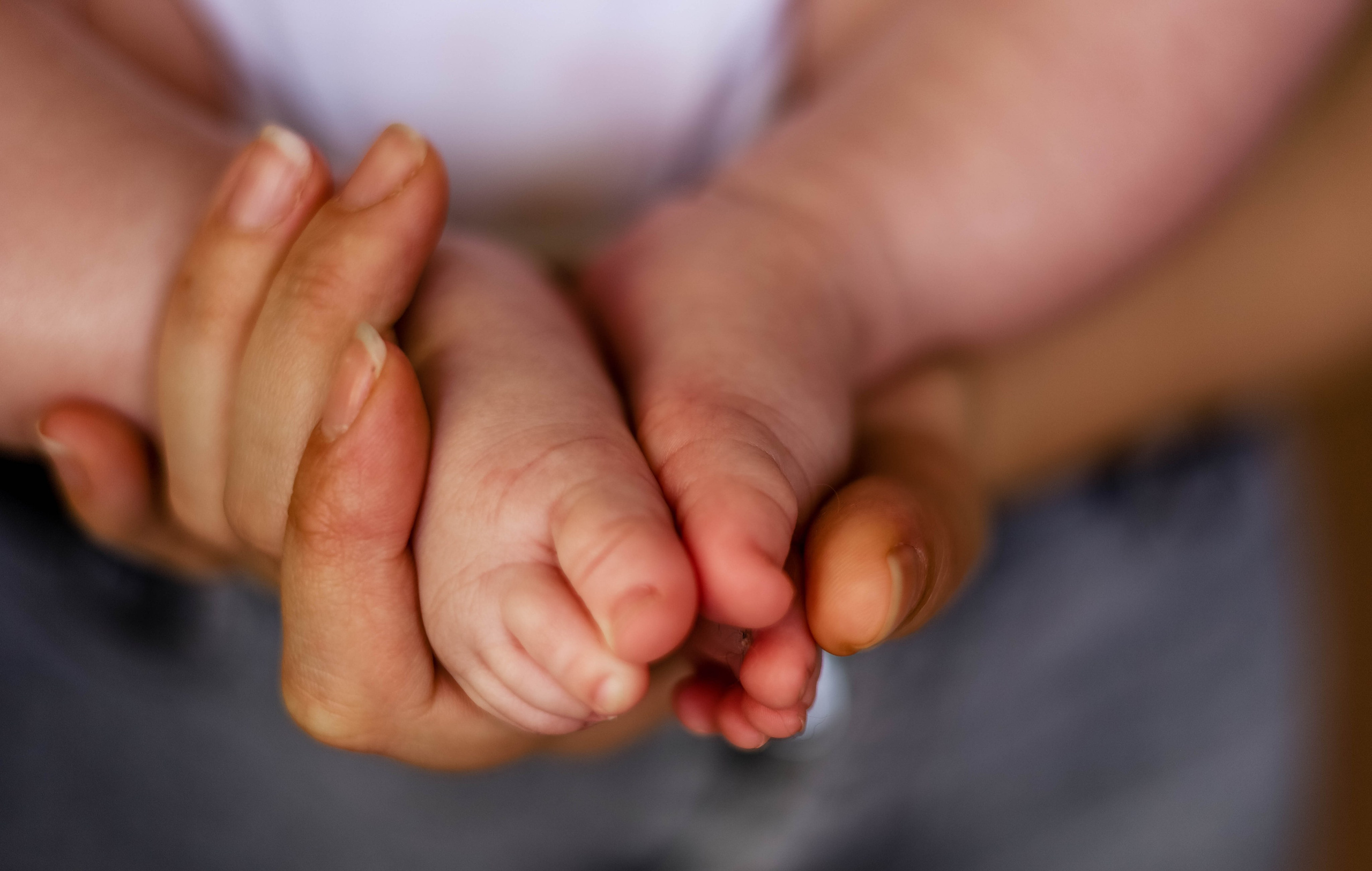 Фотограф в Крыму — Виктор Загурский