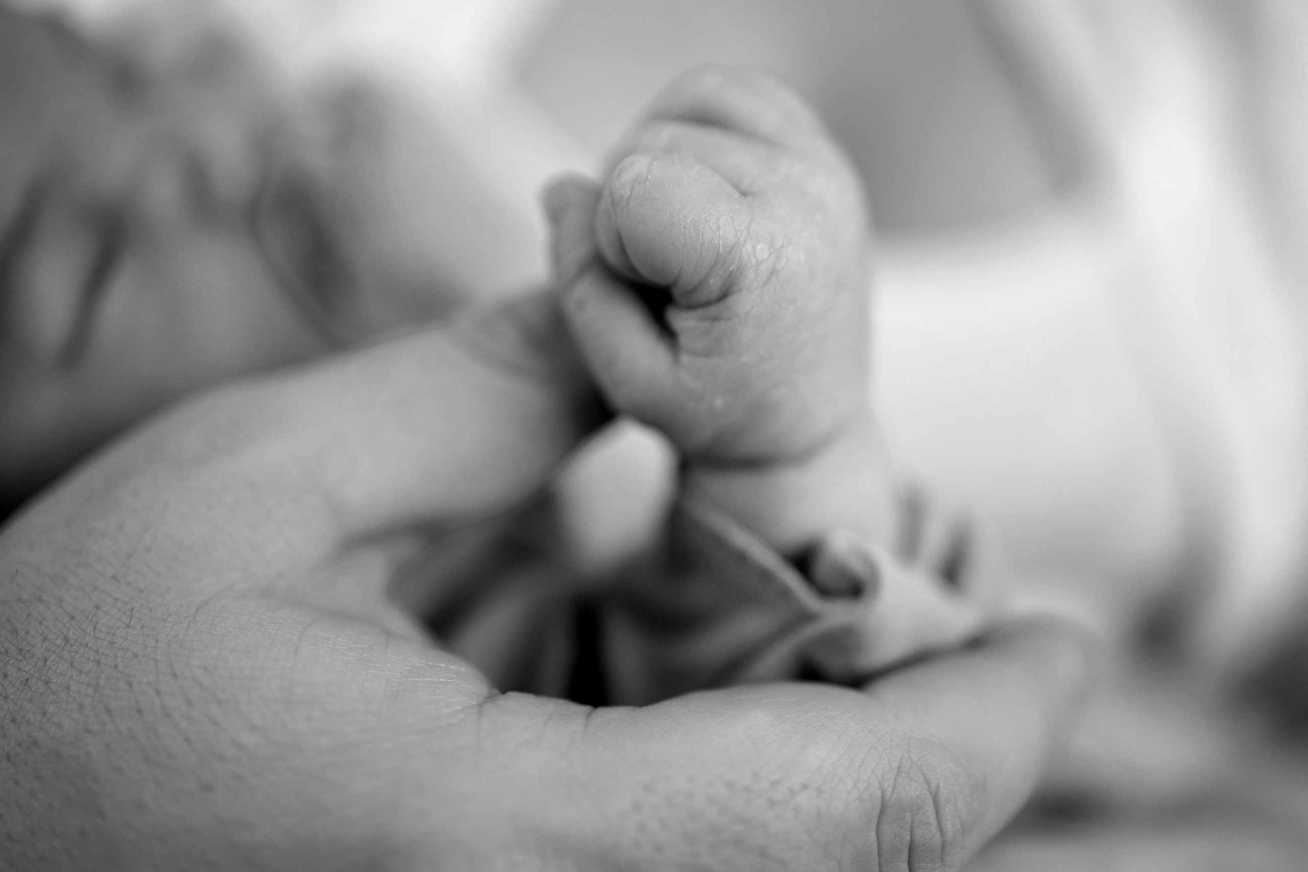 Арсений, 7 дней. Семейный и детский фотограф в Железногорске Саламахо Ольга