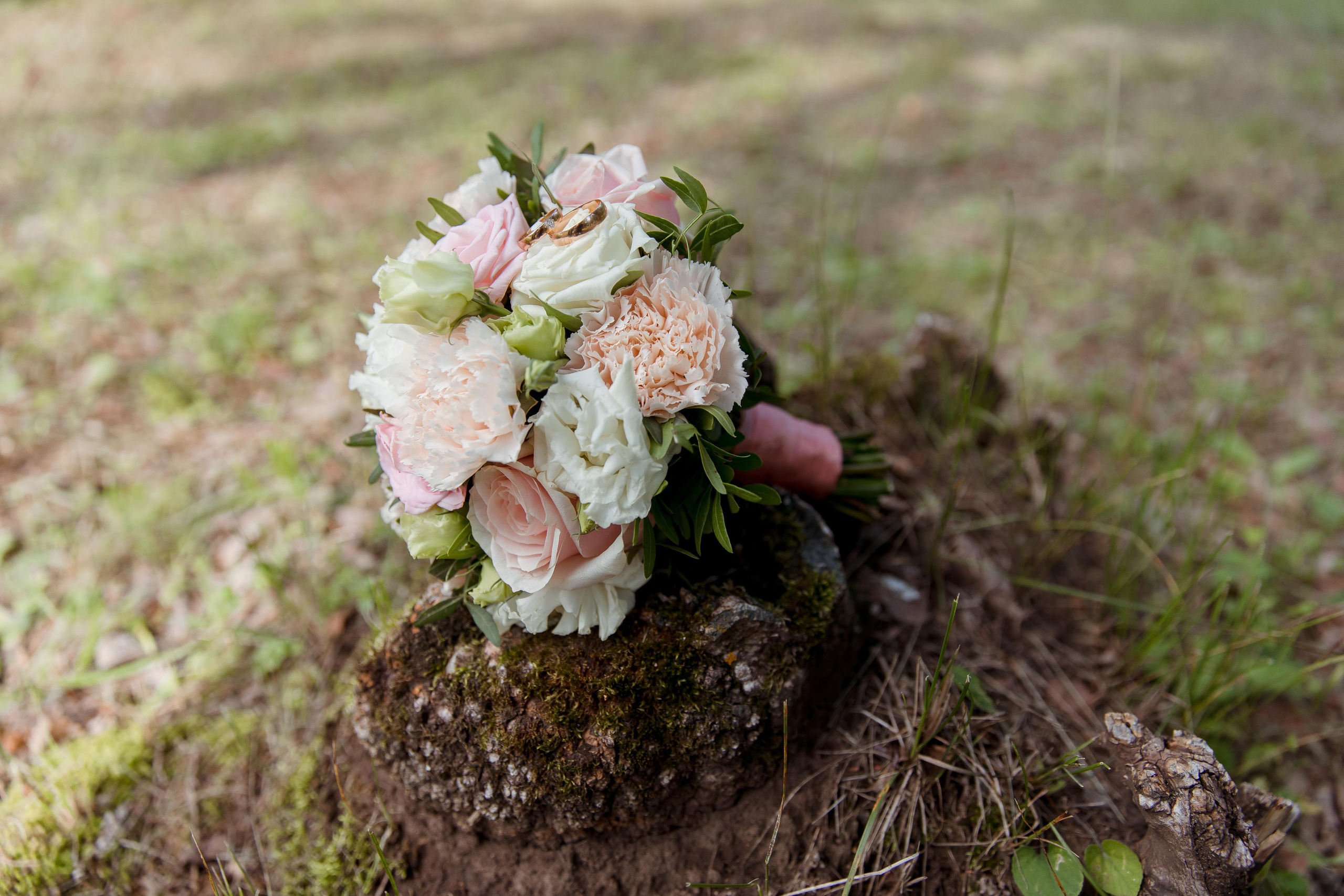 Денис и Софья. Семейный и детский фотограф в Железногорске Саламахо Ольга