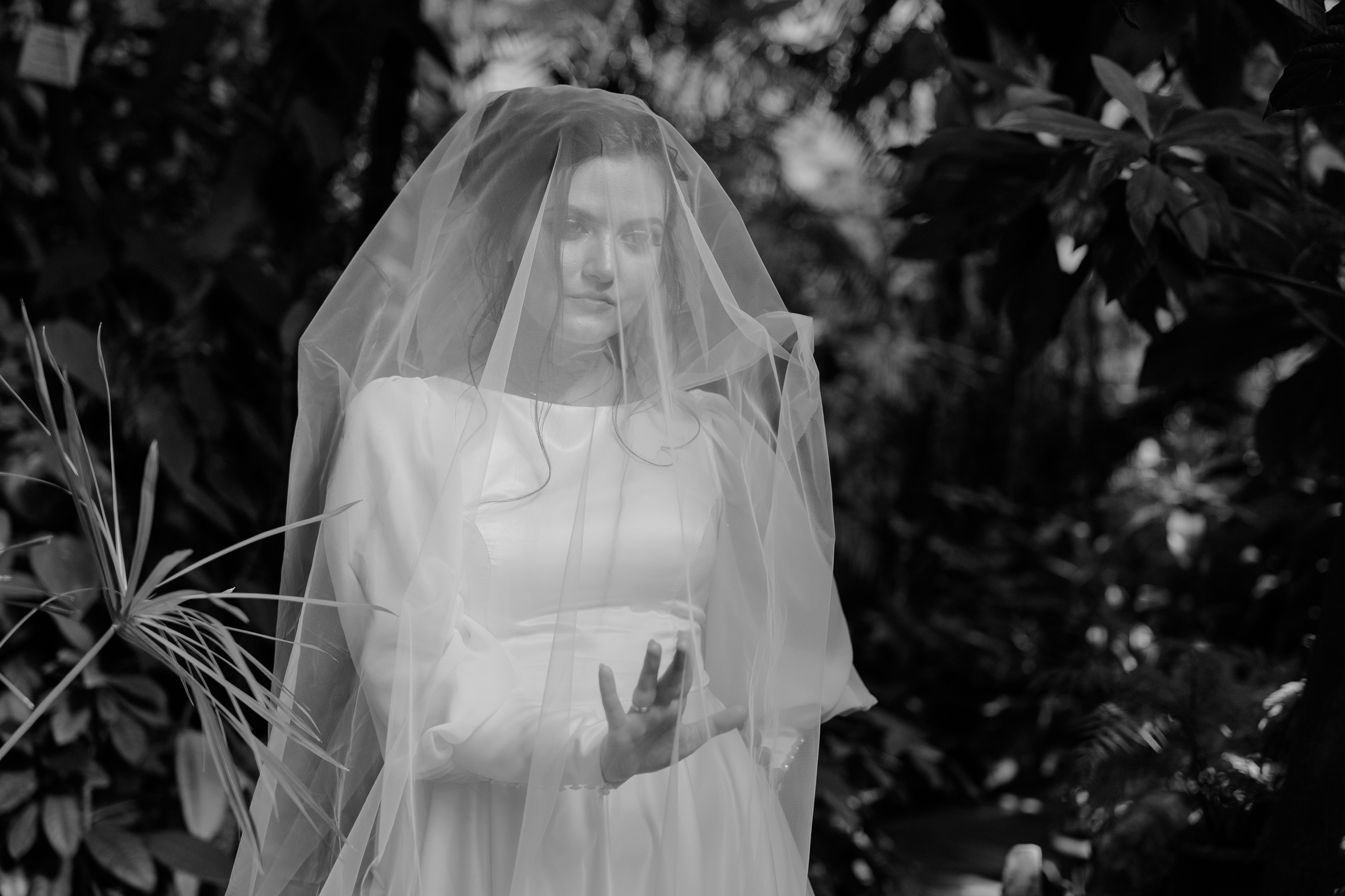 Wedding. Профессиональный фотограф Нурмиева Вероника