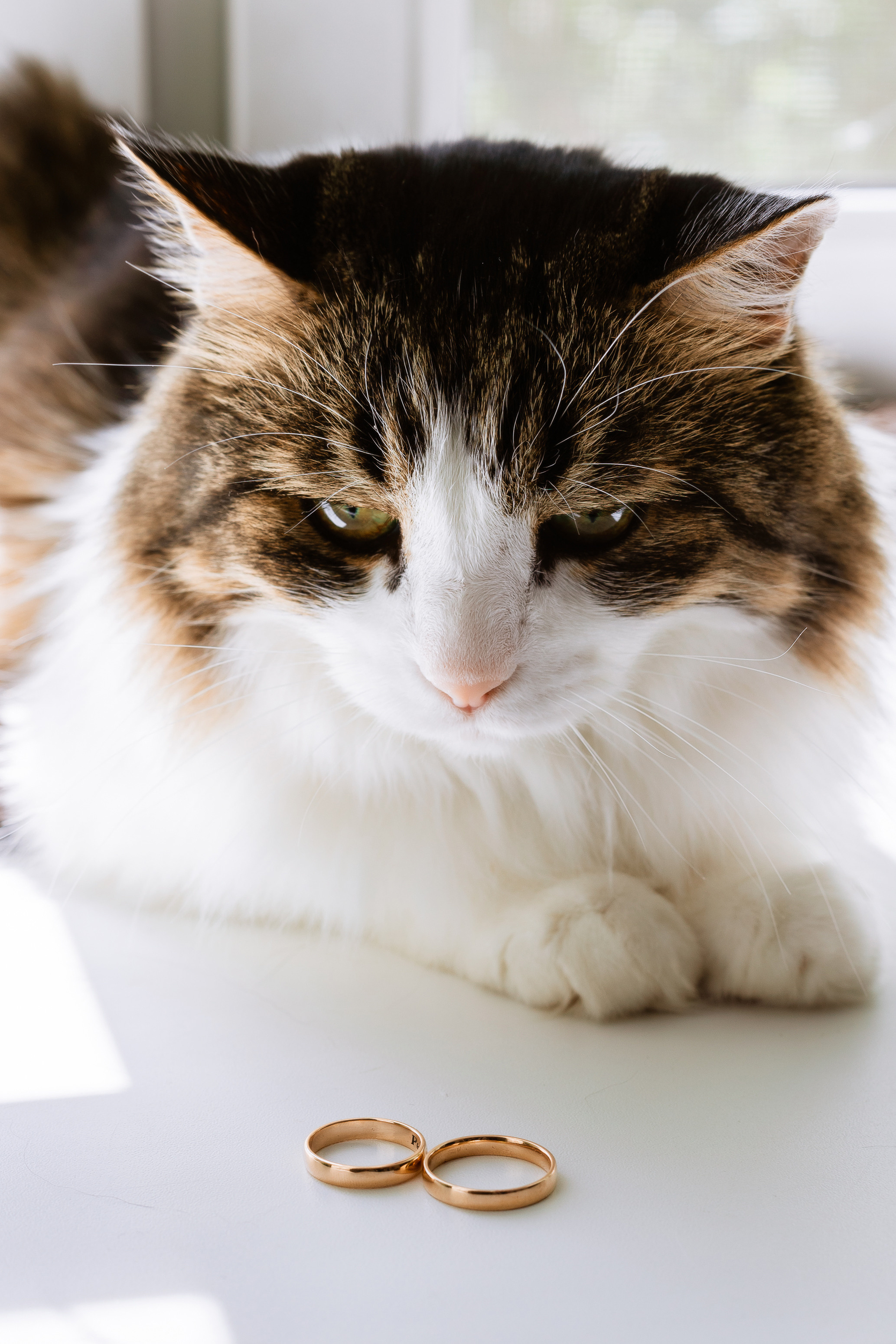 Wedding. Профессиональный фотограф Нурмиева Вероника