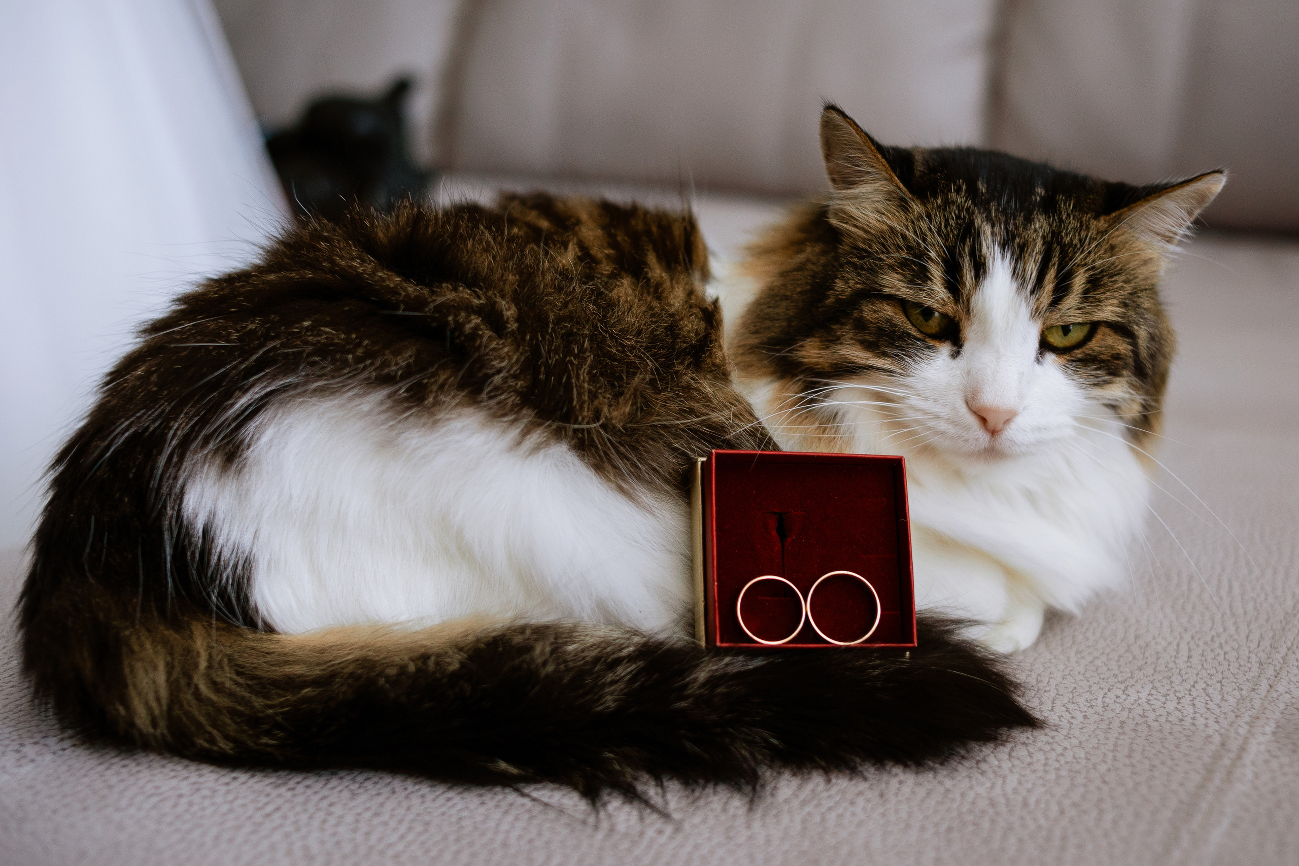 Anna & Pavel. Профессиональный фотограф Нурмиева Вероника