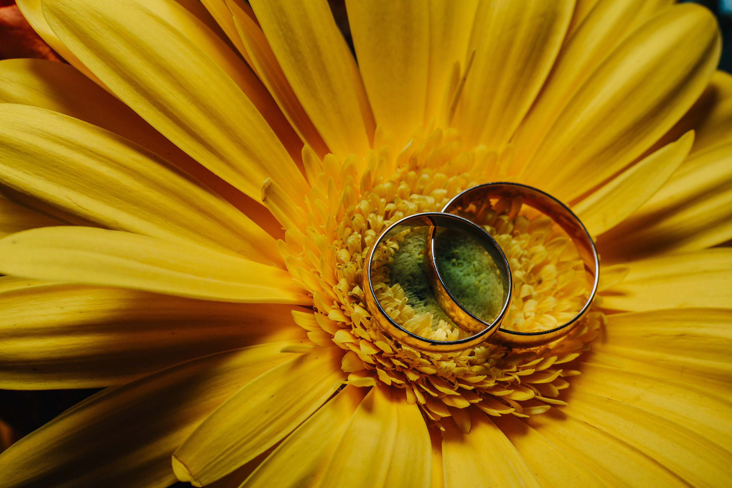 Wedding. Профессиональный фотограф Нурмиева Вероника