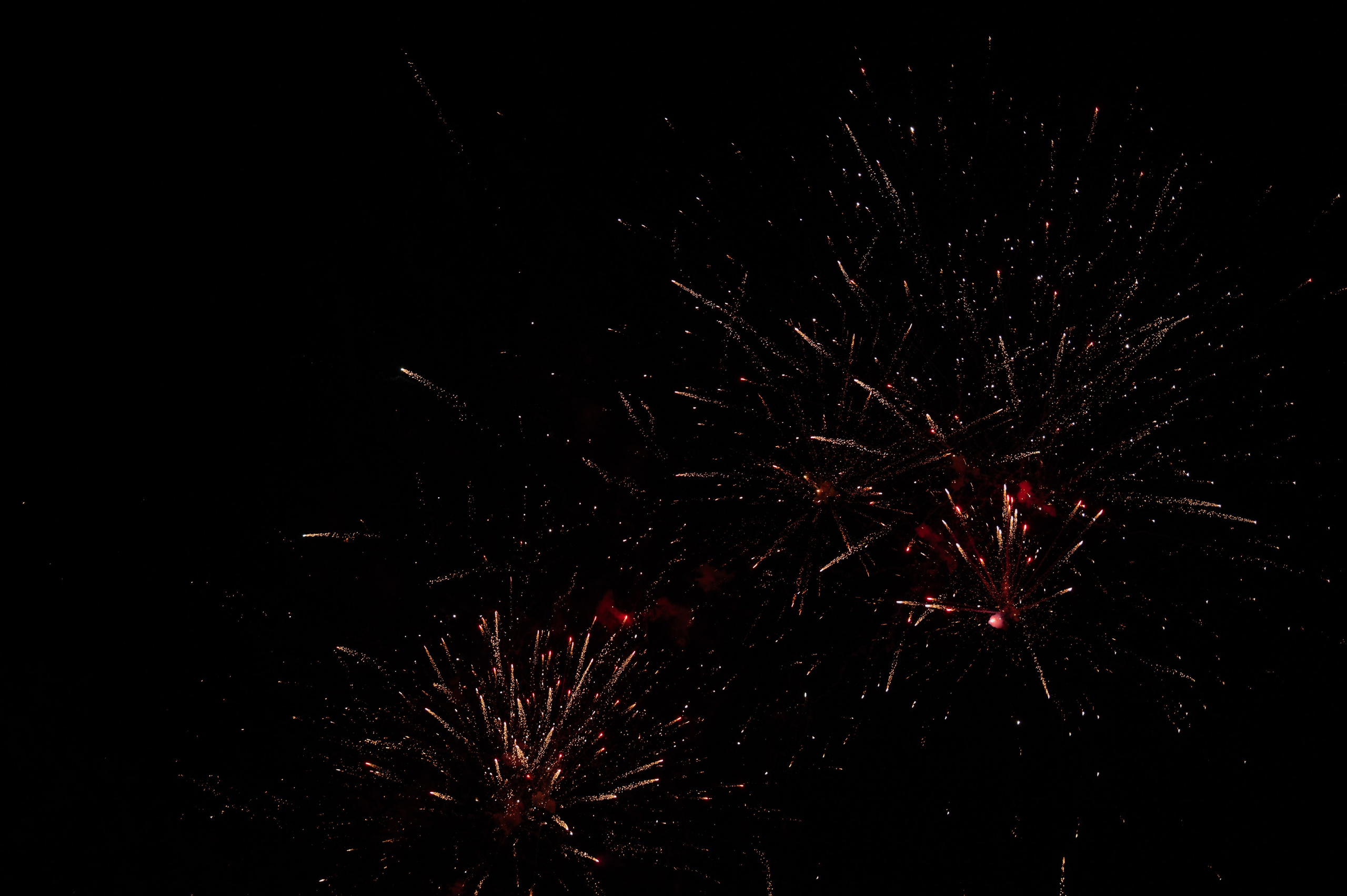 Егор и Олеся