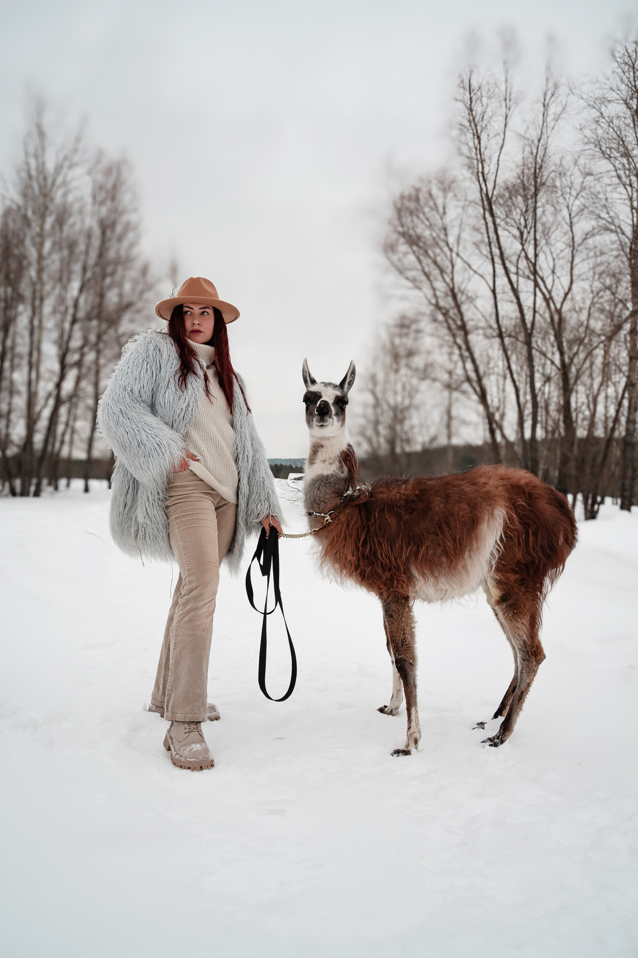 Фотосессия с животными Самара. Предметный фотограф Самара
