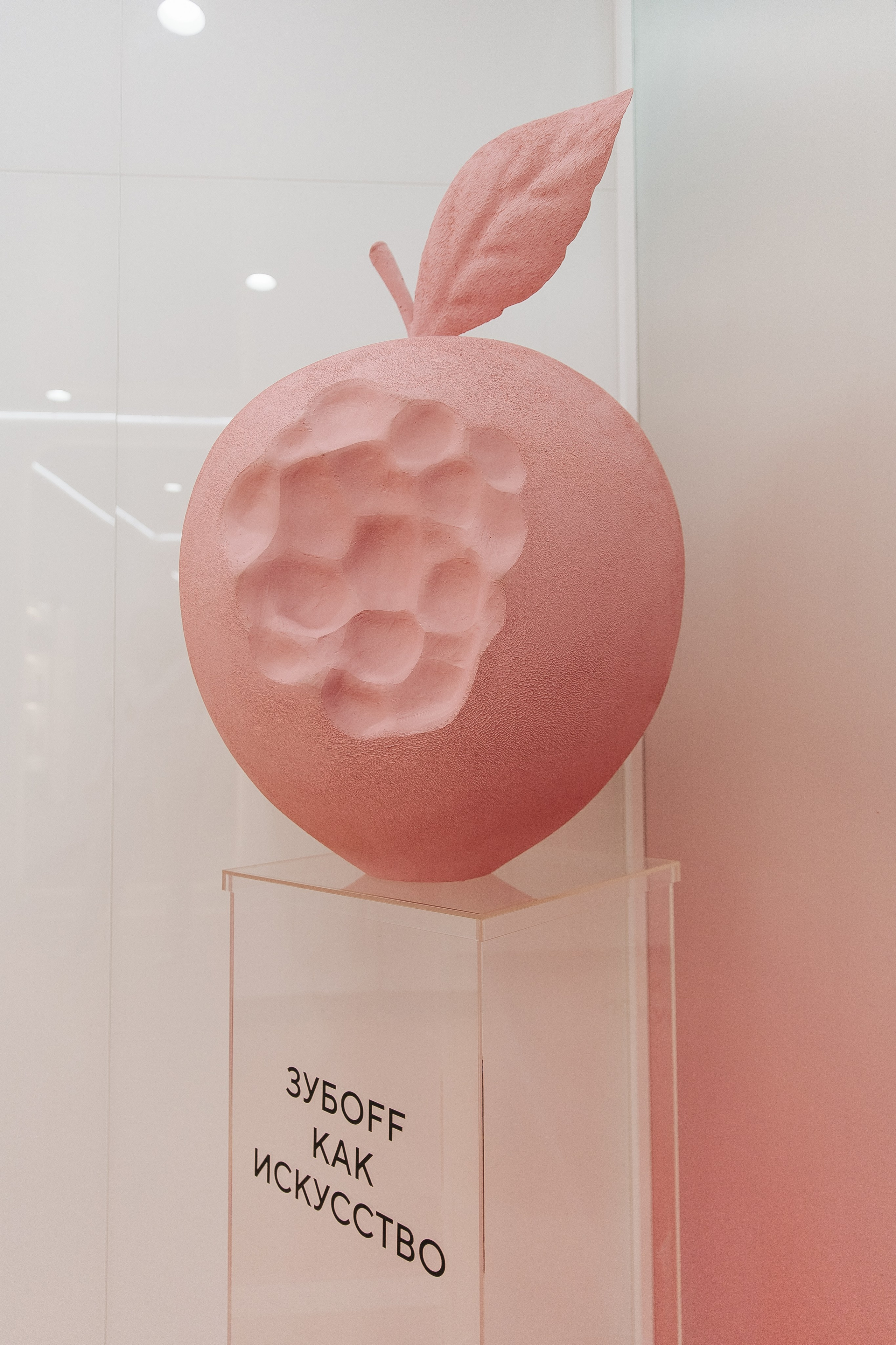 Открытие клиники. Фотограф в Красноярске Любовь Малеева