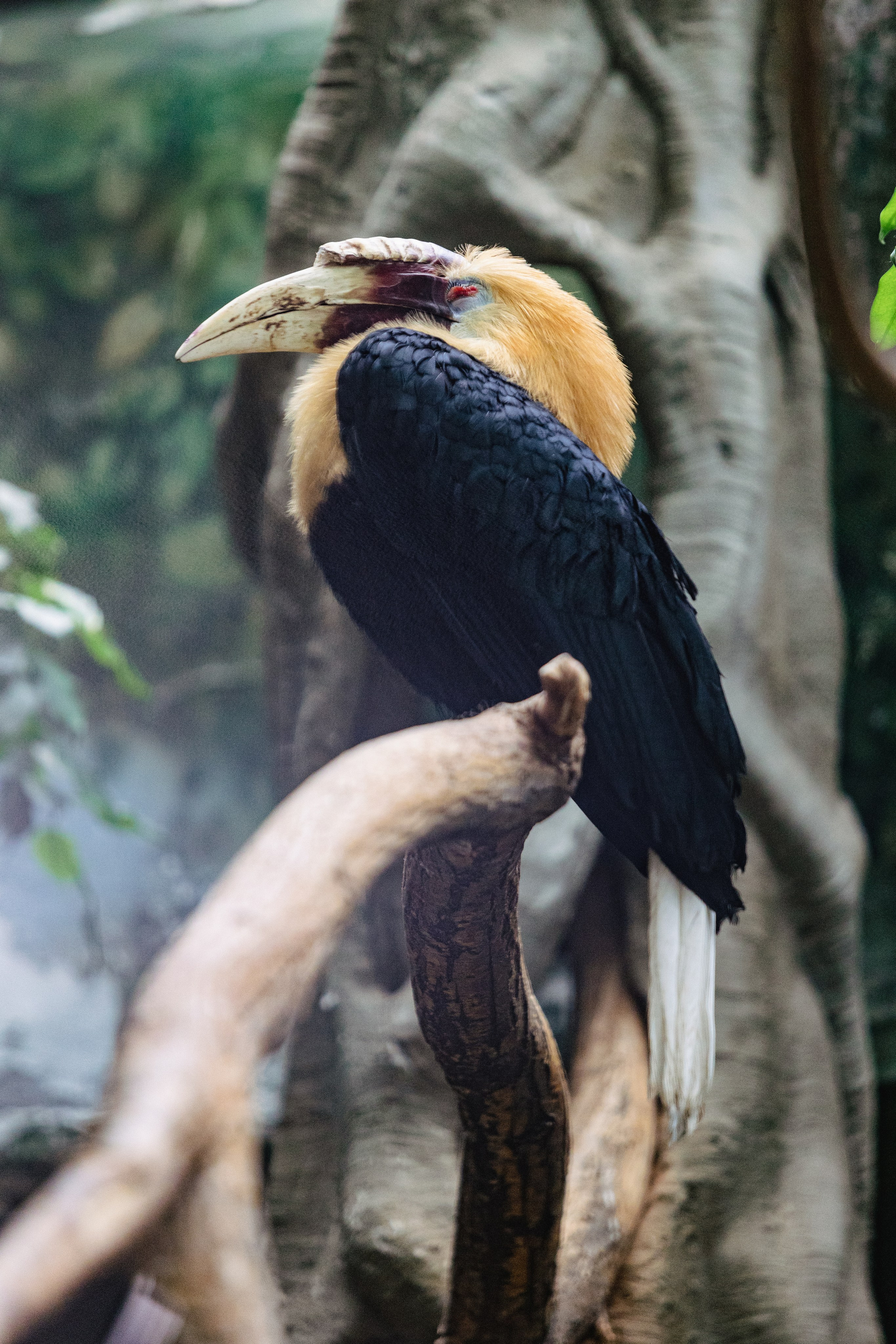 Московский зоопарк. Photographer Sonkina Tatiana (Tanya Ash)