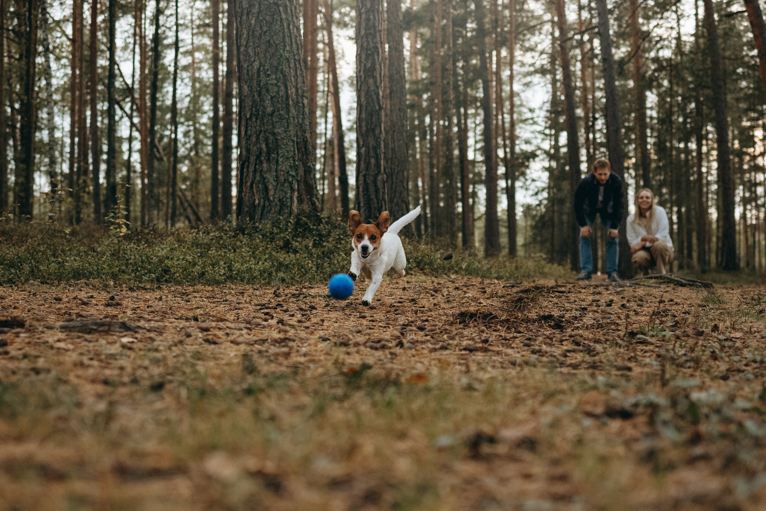Лея и ее семья. Фотограф — Анималист | Санкт-Петербург