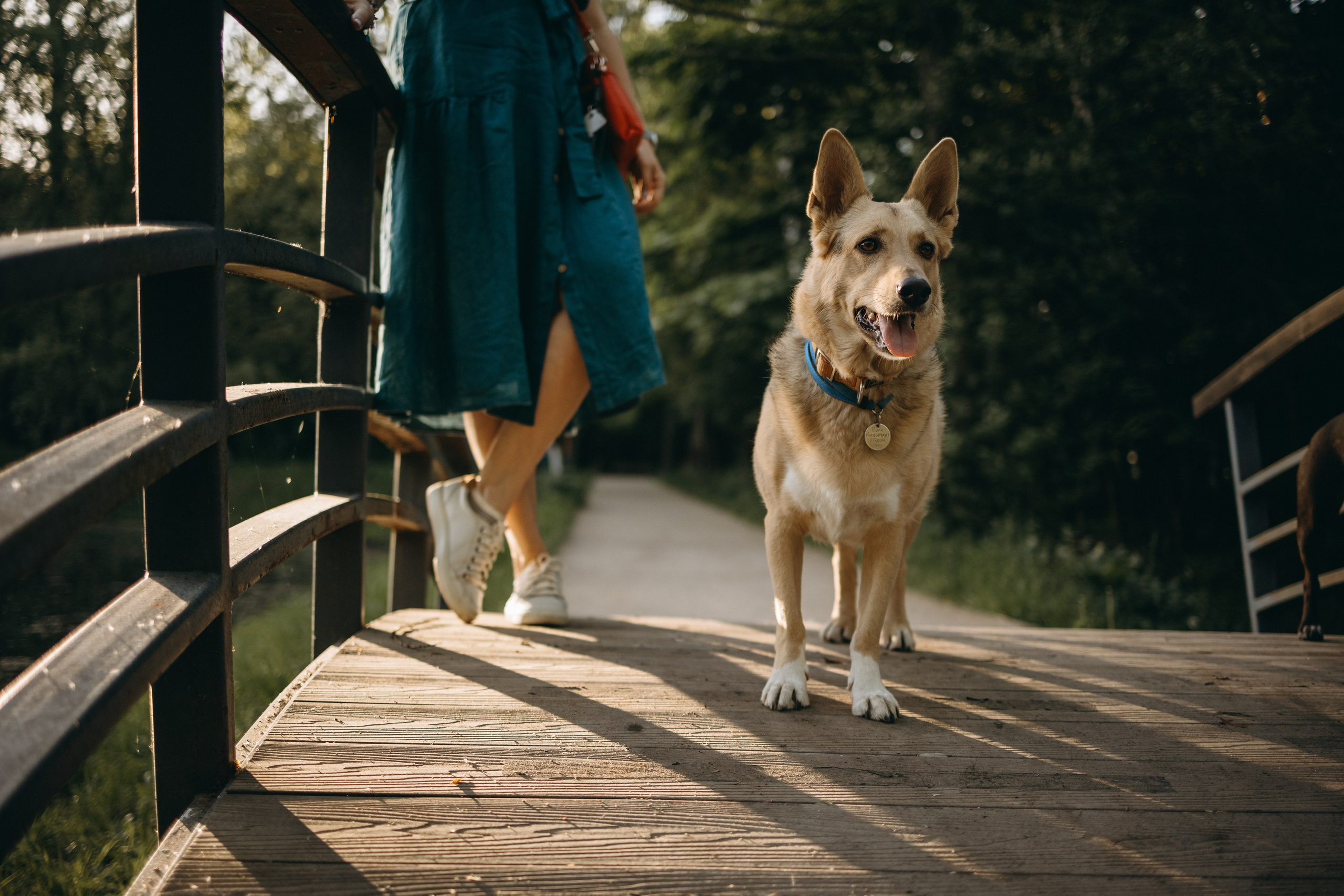 Татьяна, Сергей и их Булочка и Пончик. Фотограф — Анималист | Санкт-Петербург
