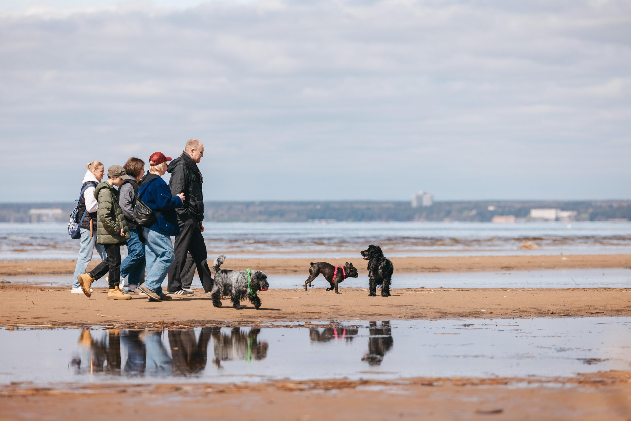 Спанимания. Фотограф анималист Осипчикова Мария