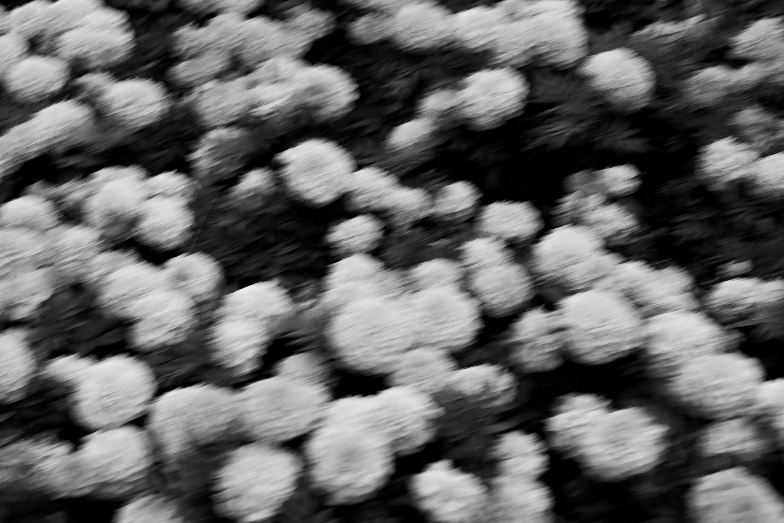 Алина | Роберт. Свадебный и семейный фотограф в Казани Диана Портнова