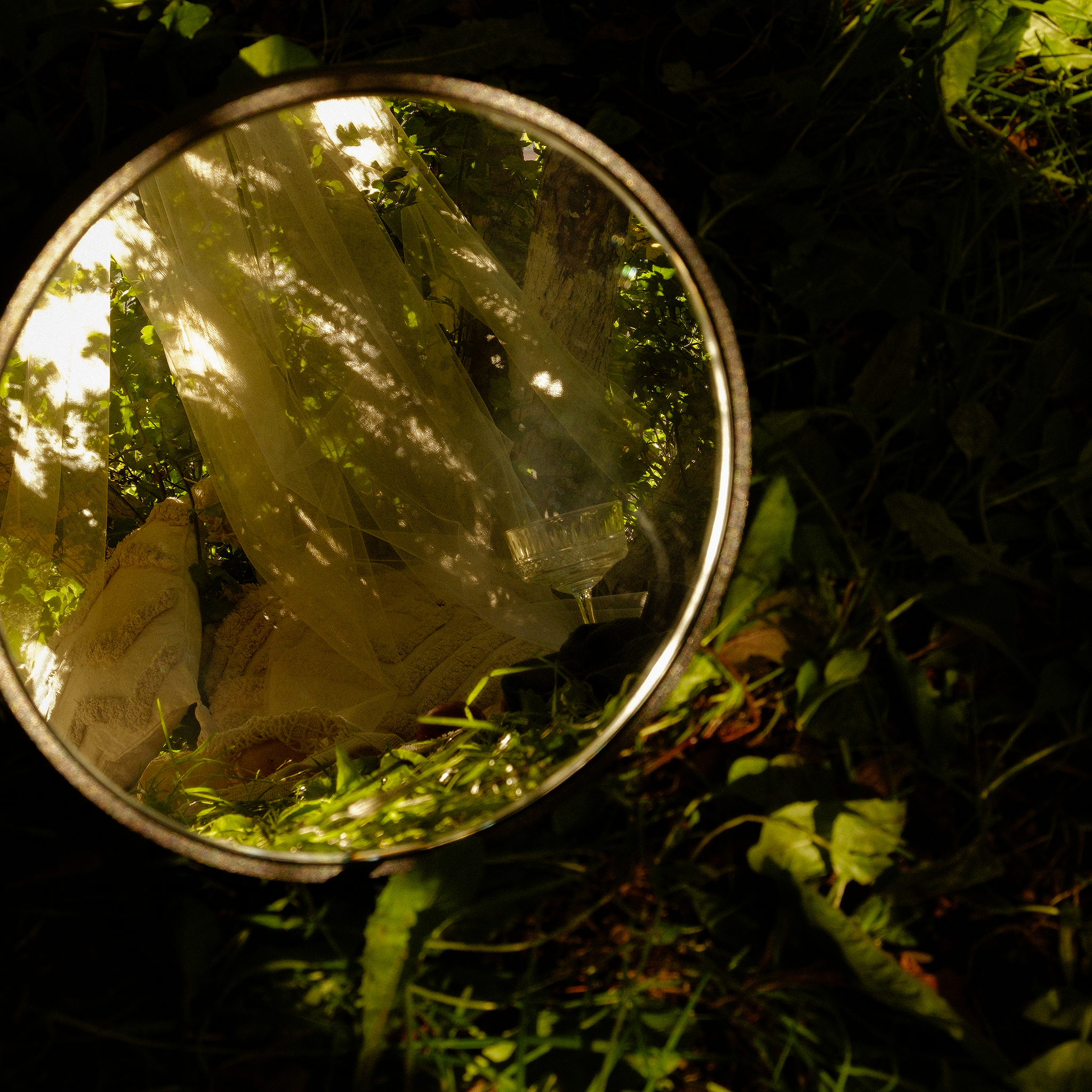 Dream garden. Фотограф/дизайнер в Екатеринбурге Хитрый Дмитрий