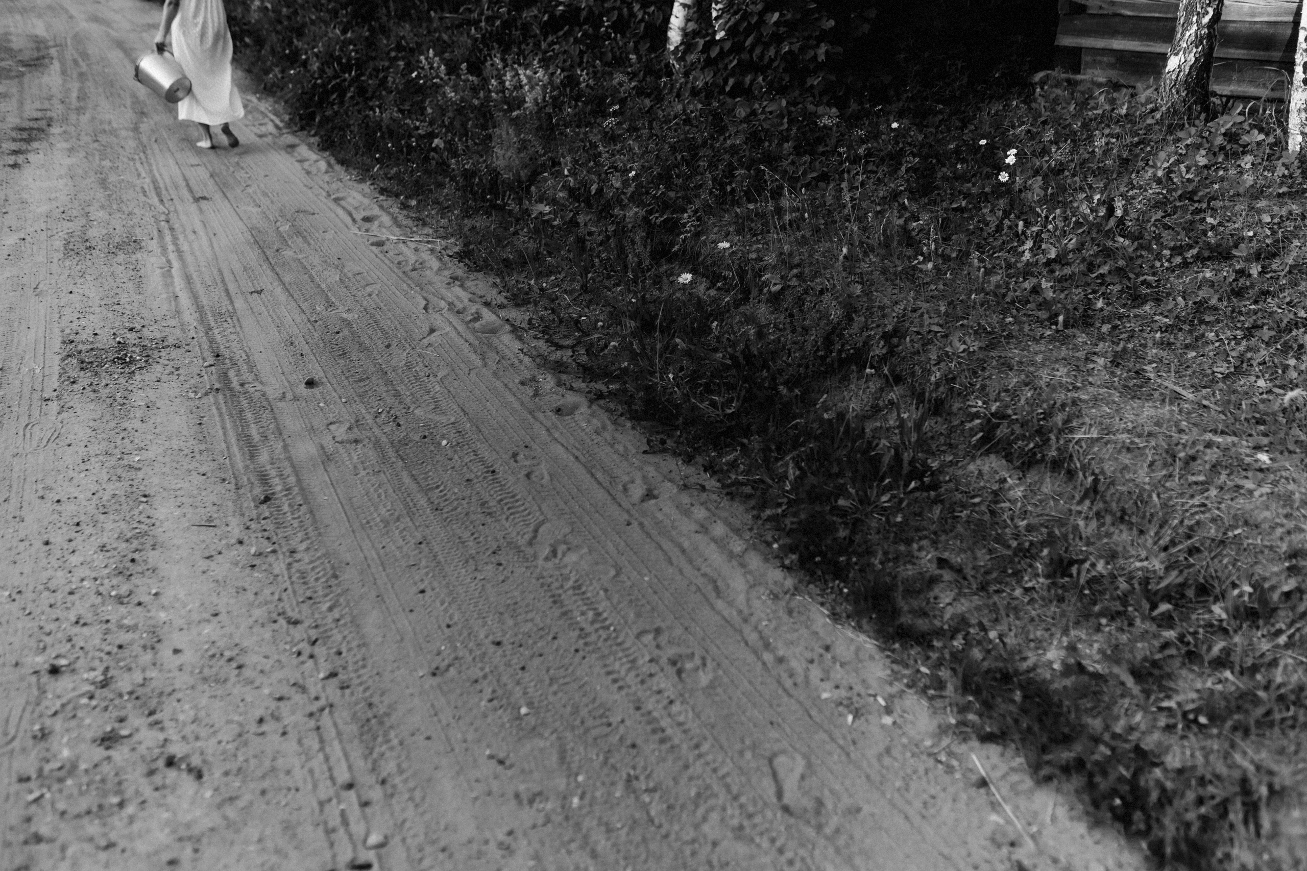 Один день в деревне