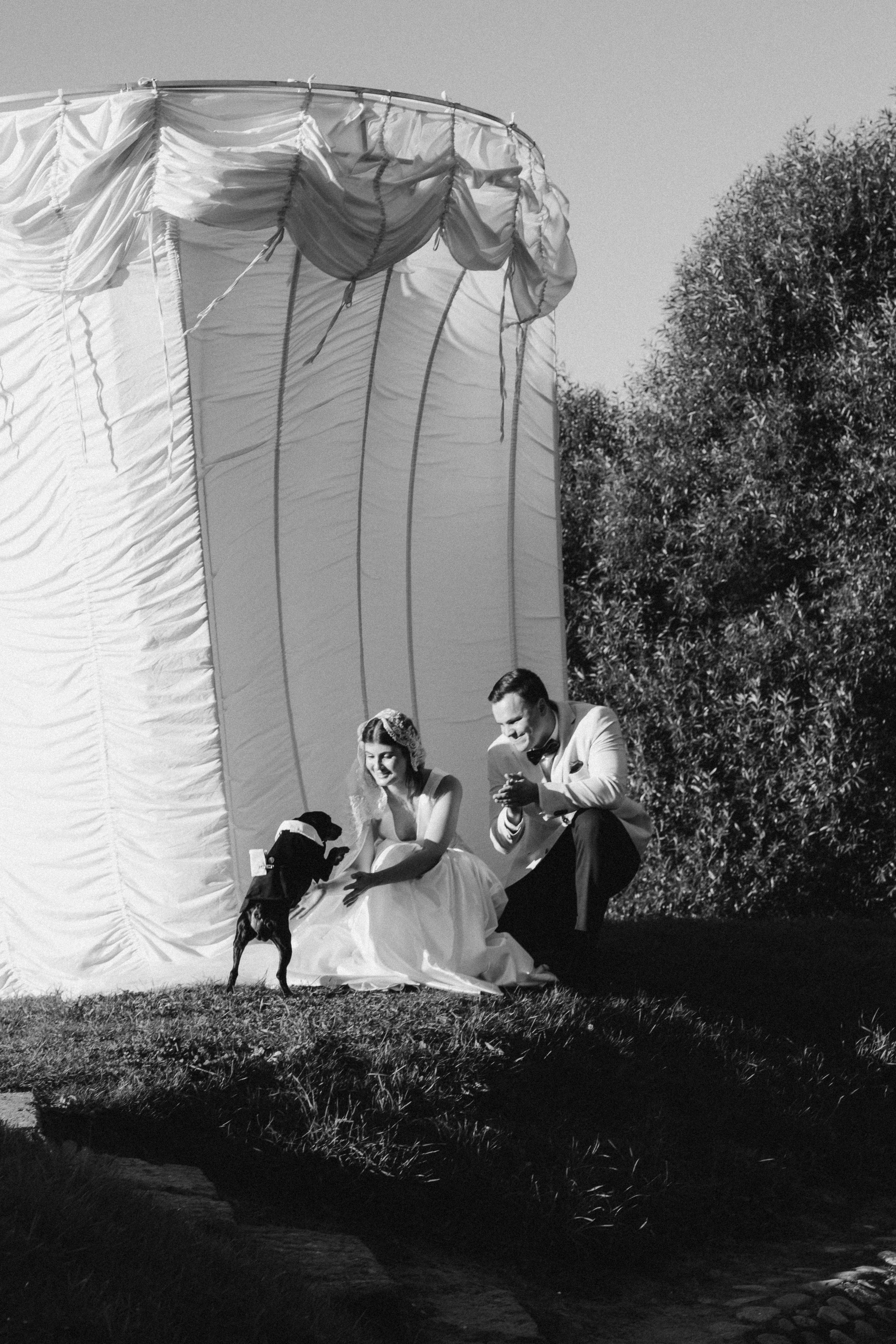 Свадьба в замке. Свадебный фотограф Таня Караисаева