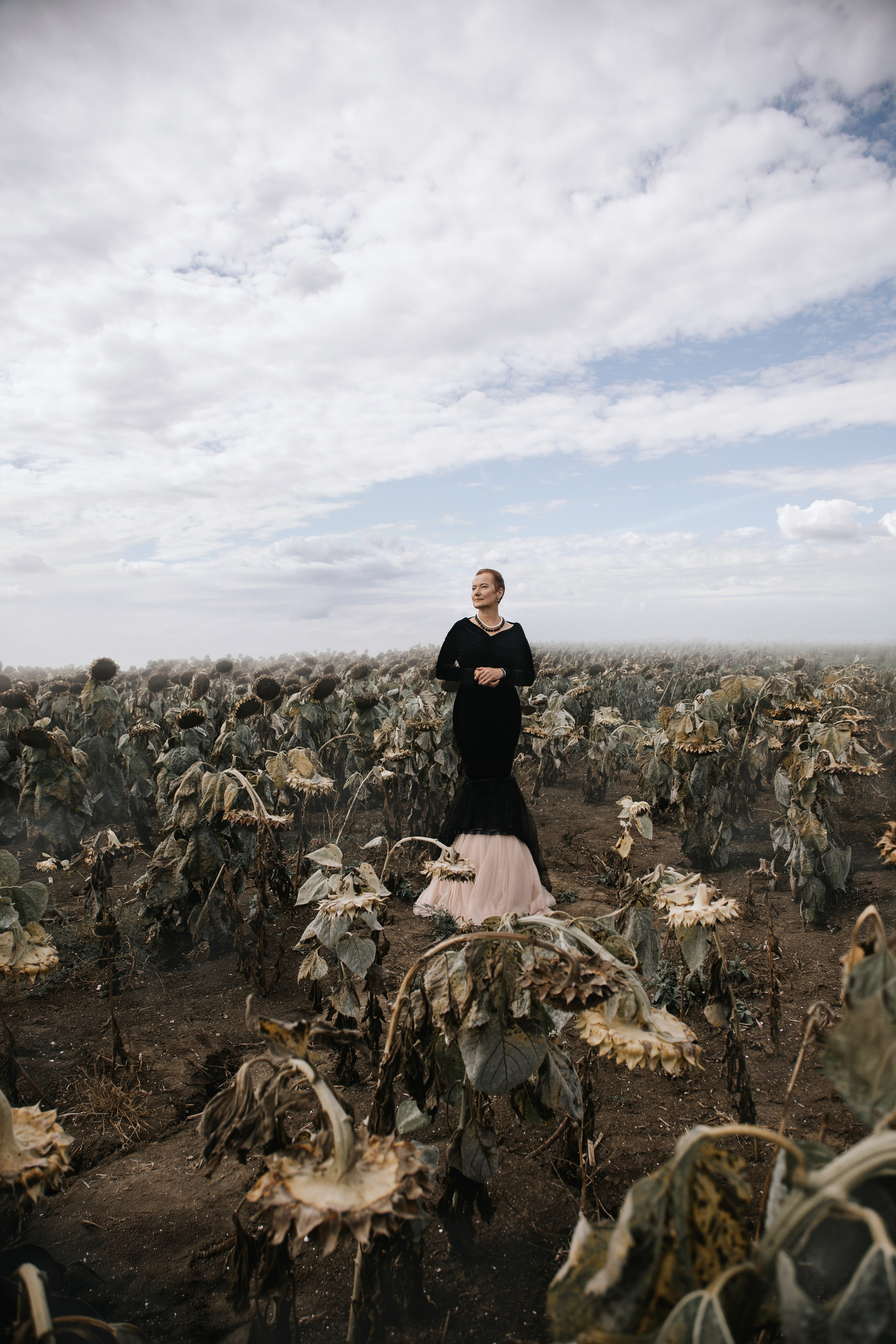 Подсолнухи. Арт фотограф в Белграде Парфенова Екатерина