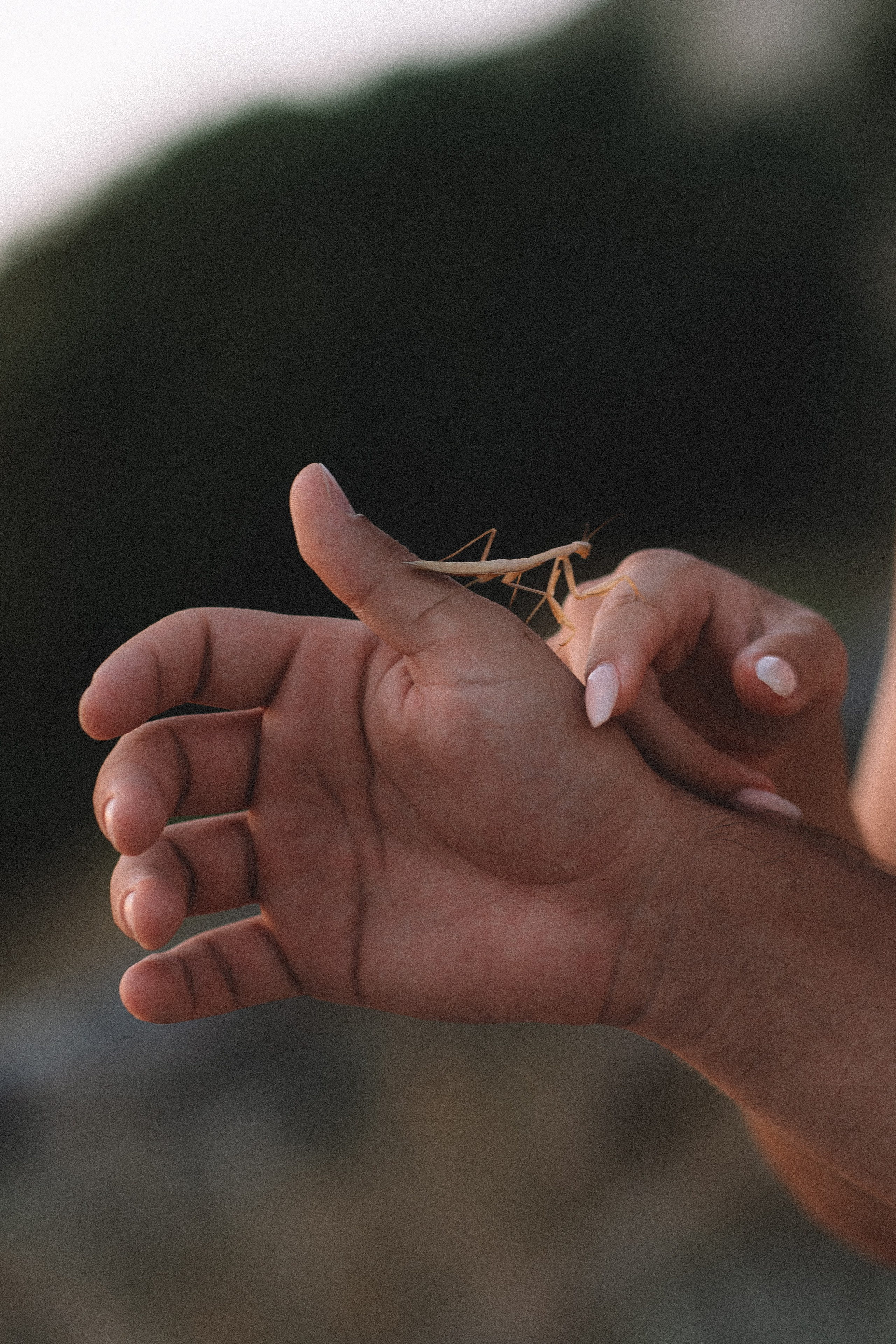 Walk. Фотограф в Анапе Муратова Анна