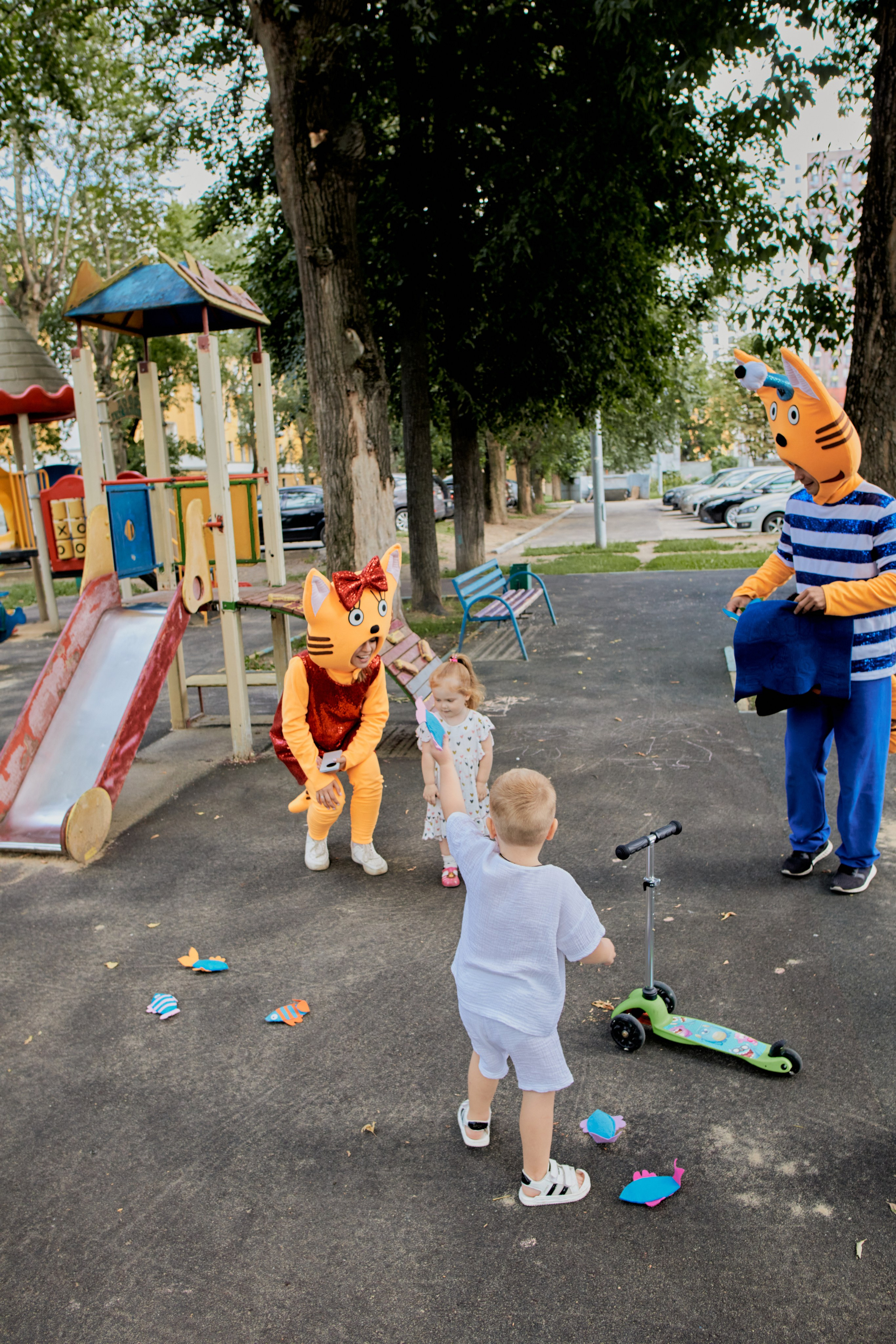 Три кота. Фотограф Москва