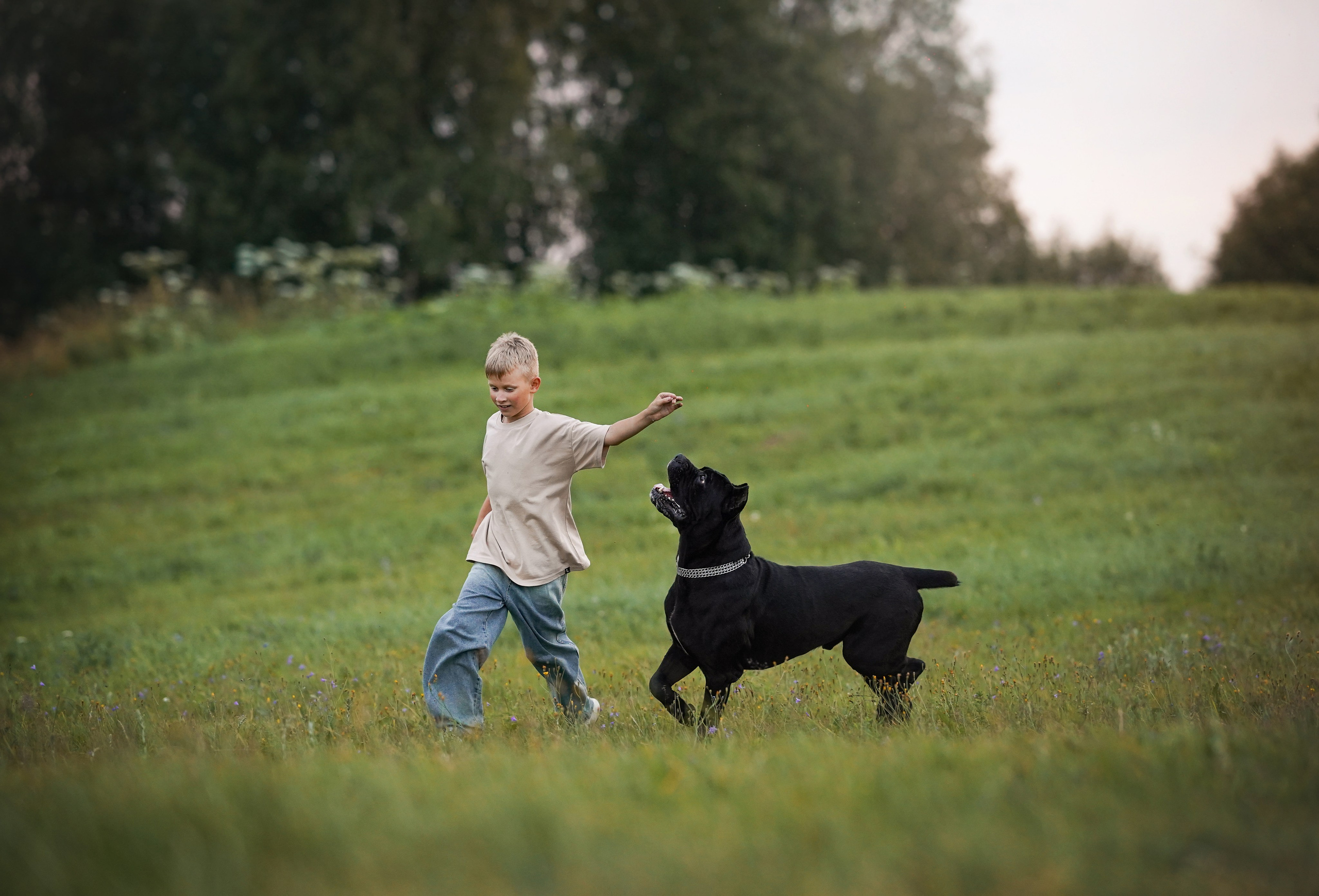Юлия Костя и Виннер. Фотограф-анималист в Санкт-Петербурге Яна Мартынова