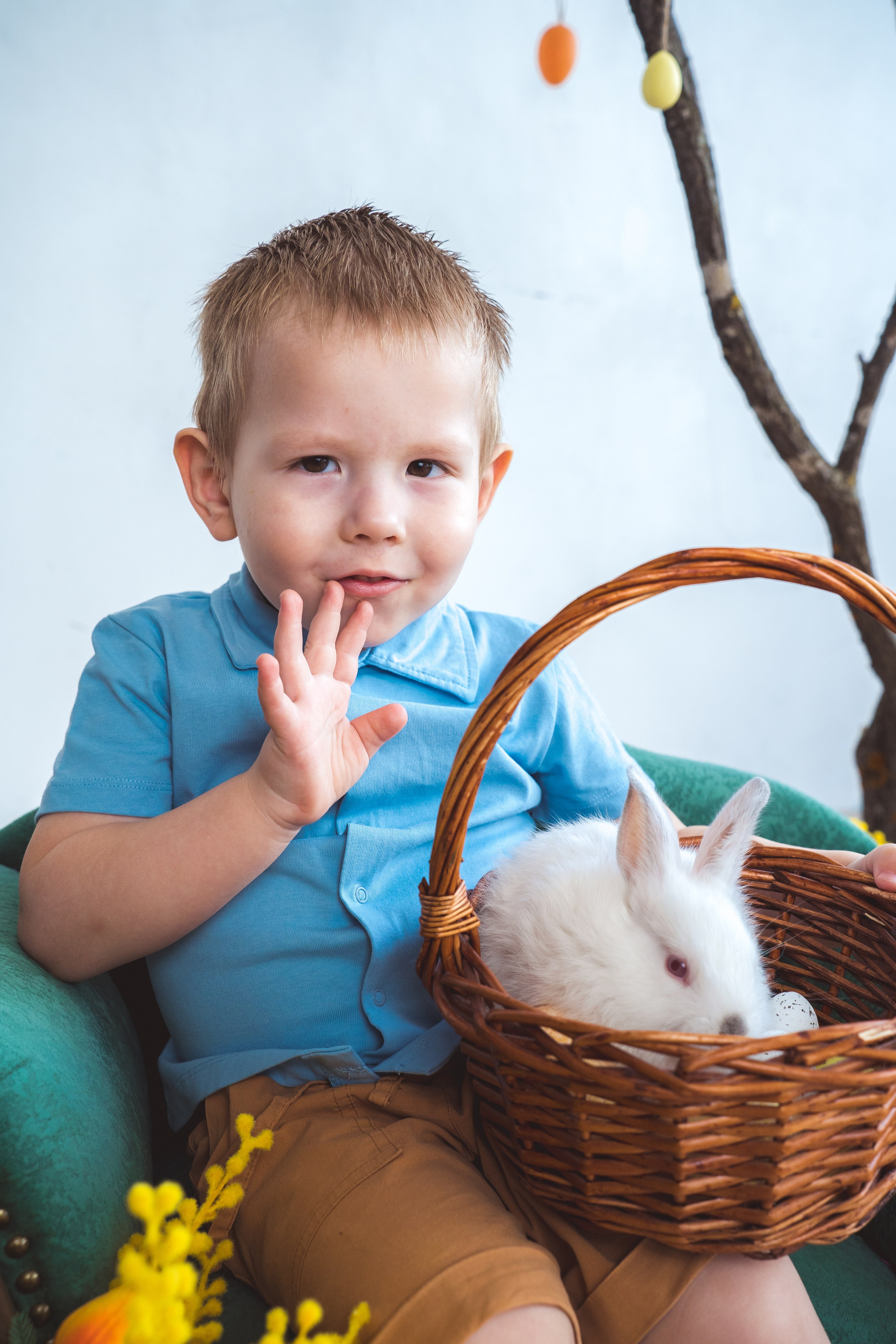 Пасхальный фотодень с цыплятами и кроликами. Фотограф Маргарита Слободянина в Хабаровске