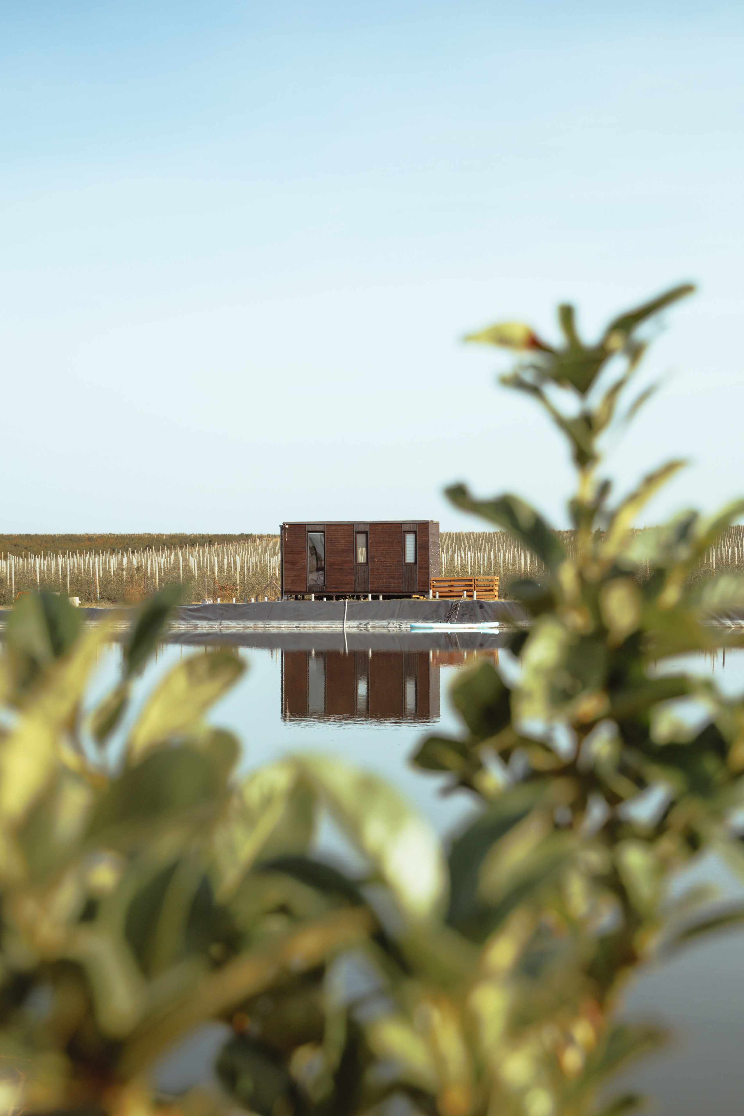 Domik в саду. Артем Корнев Фотограф