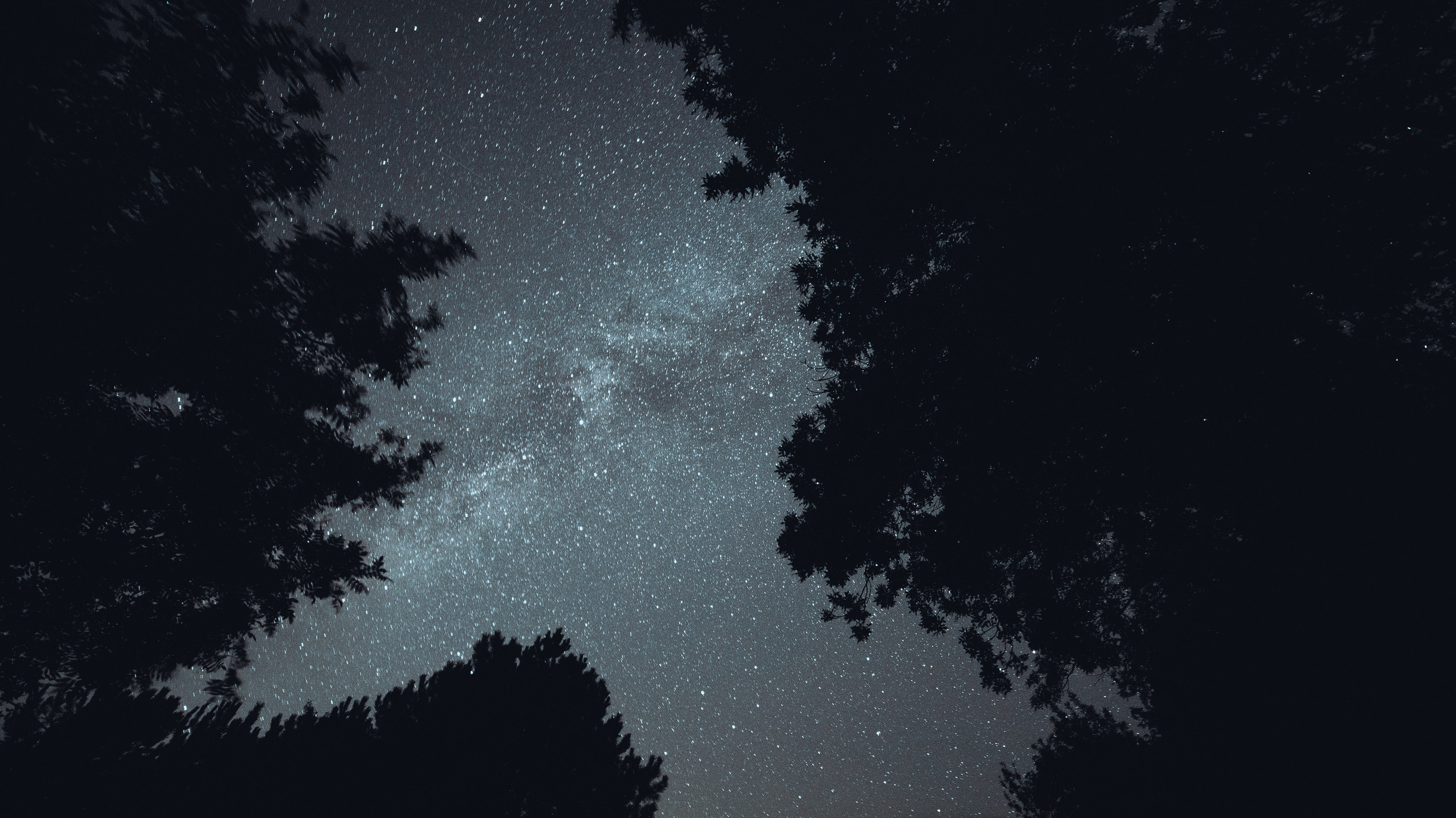 Nature. Артем Корнев Фотограф