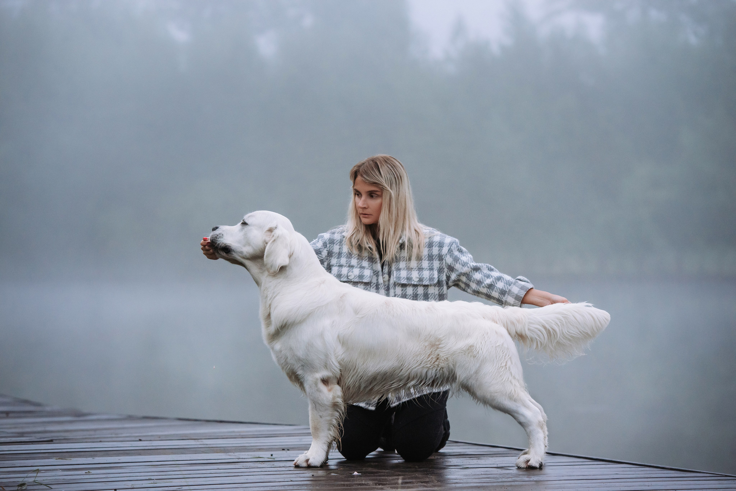 Собаки уличные. Фотограф Диана Оленина Красноярск / Братск