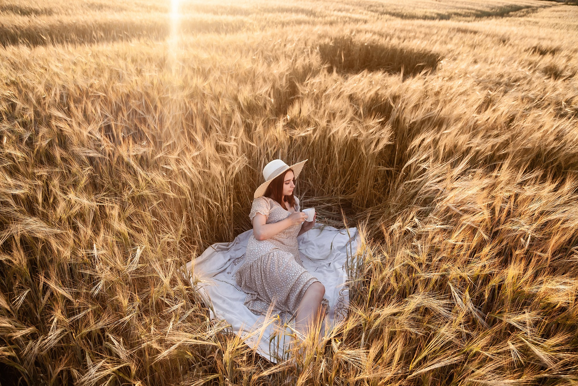 Пикник в пшенице на закате