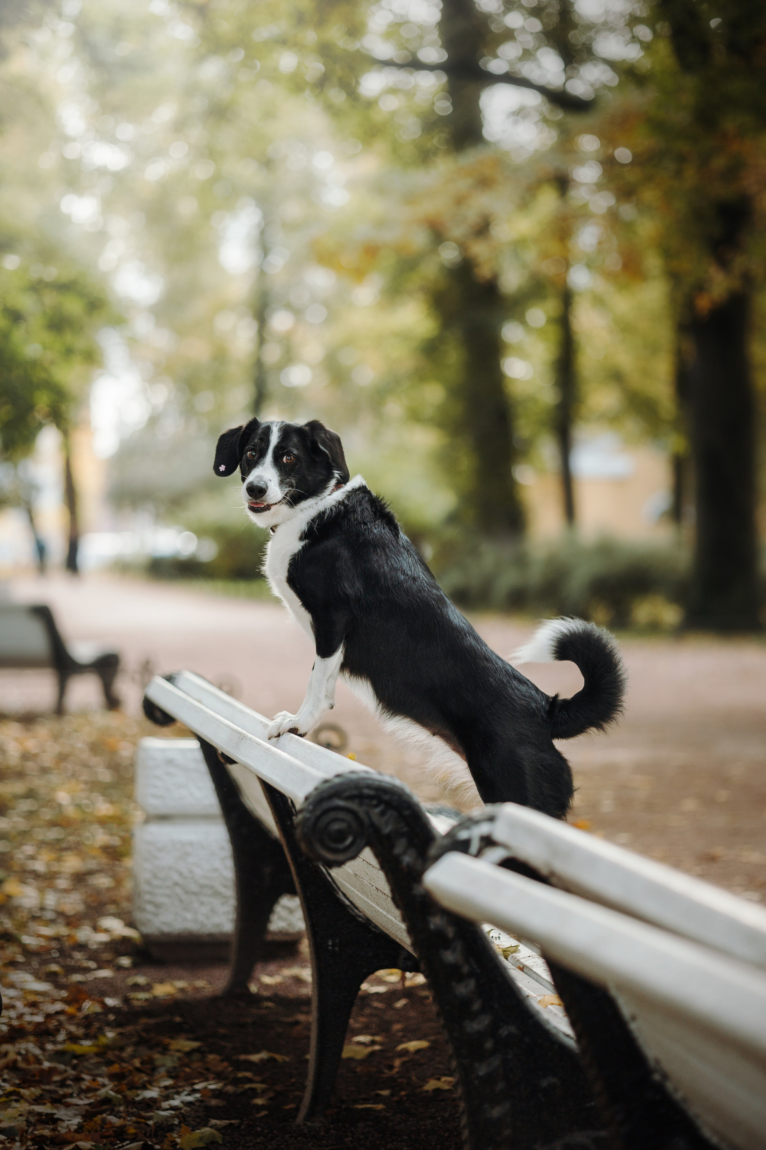 Мишель и ее семья. Фотограф — Анималист | Санкт-Петербург