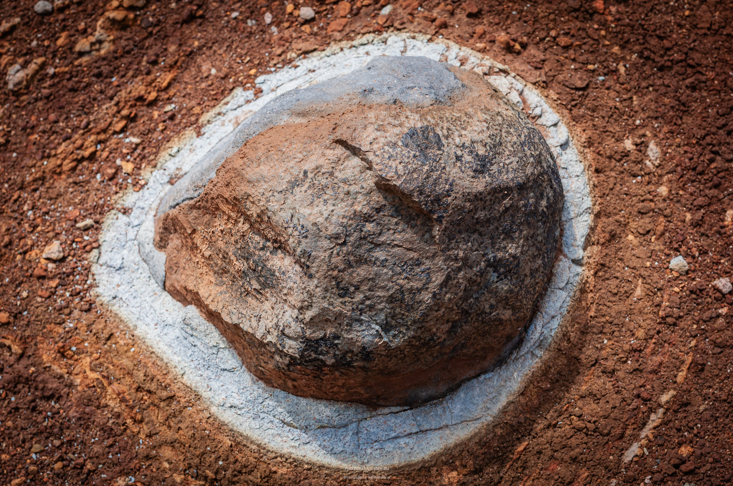 Осязаемая красота. Авторские стильные фотокартины