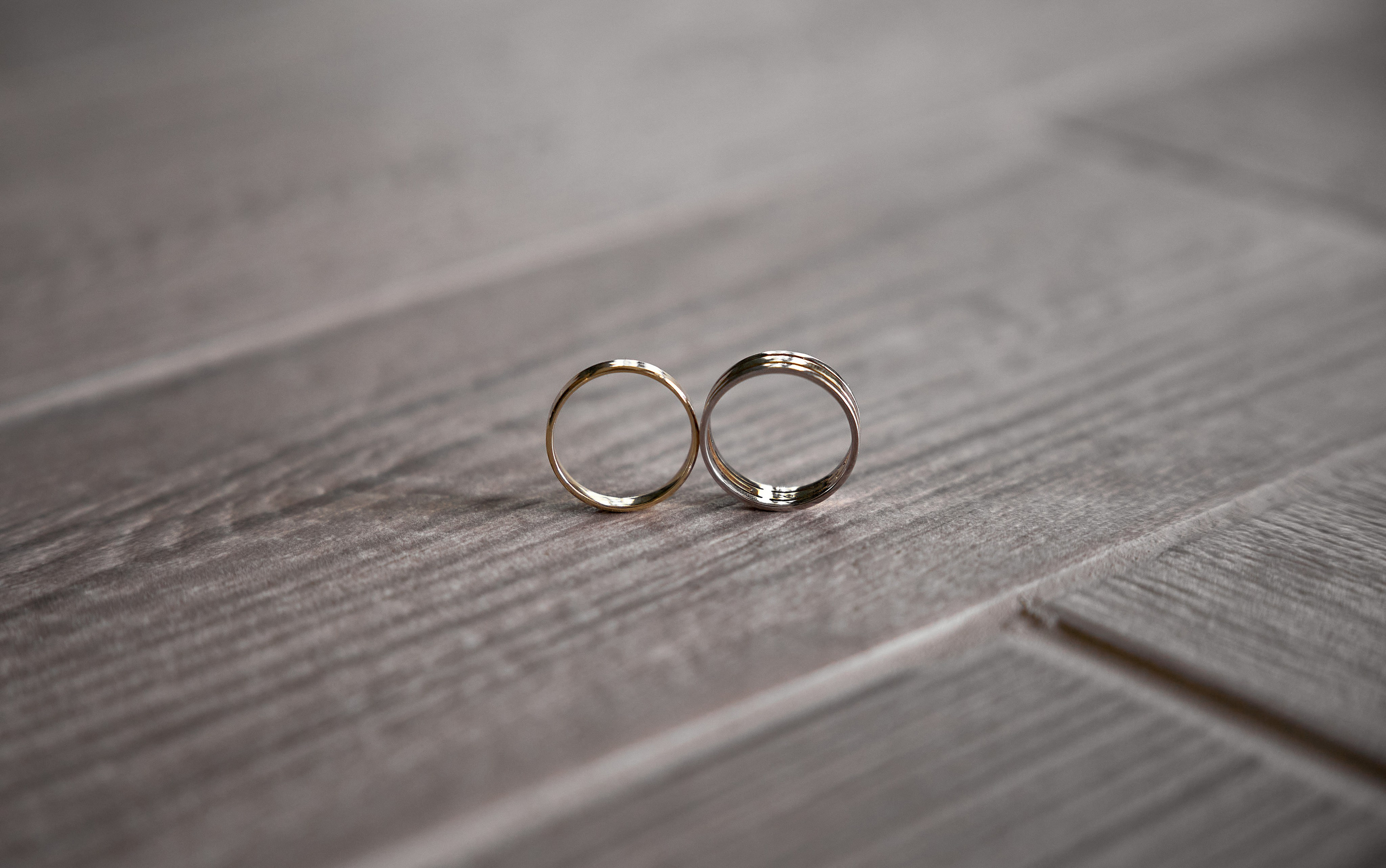 Свадебная фотография. Даниил и Юлия. Фото и видео — Артания │ Раменское │ Вся Россия