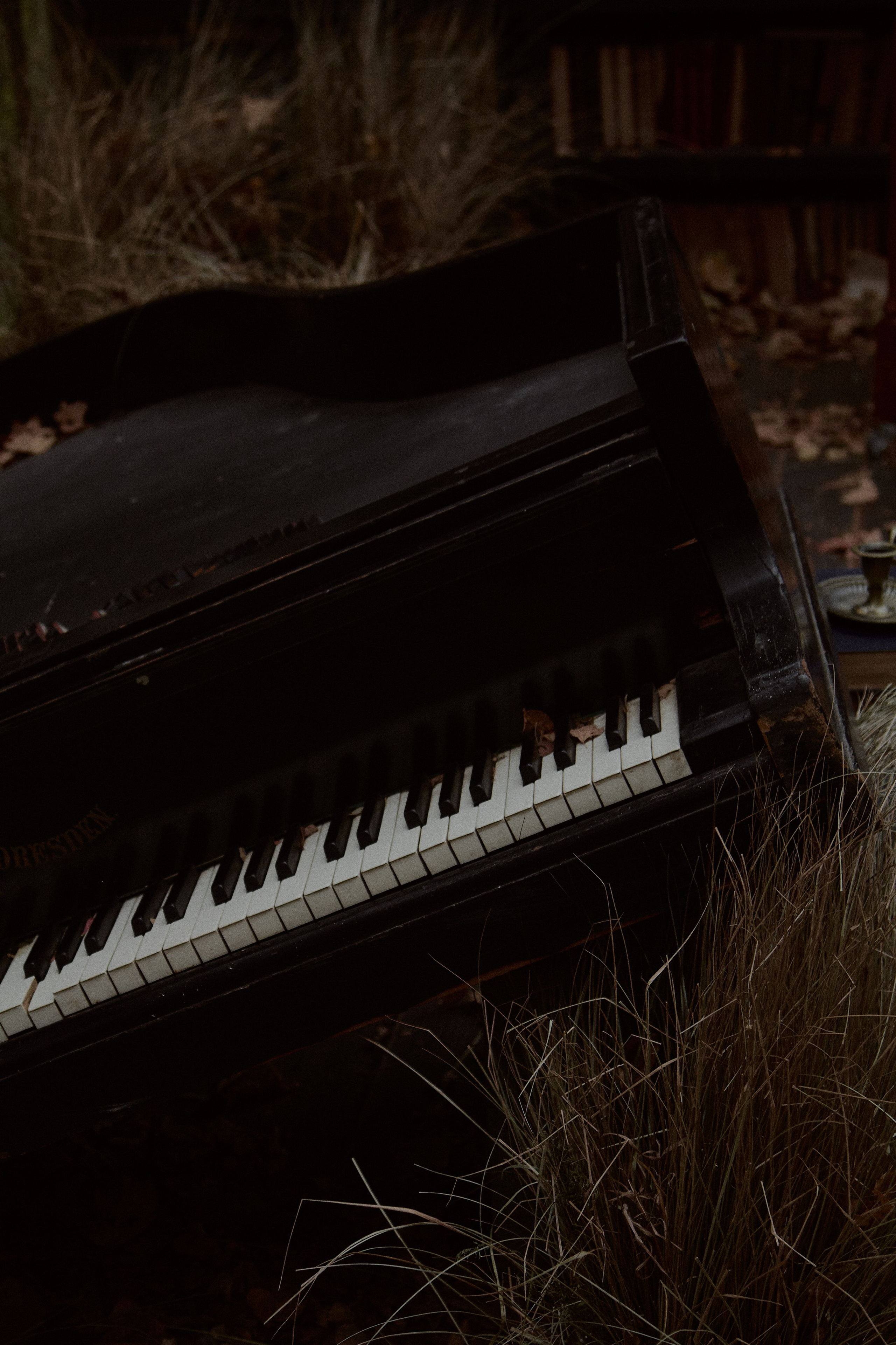 Библиотека. Свадебный фотограф в Москве Приятелева Ангелина