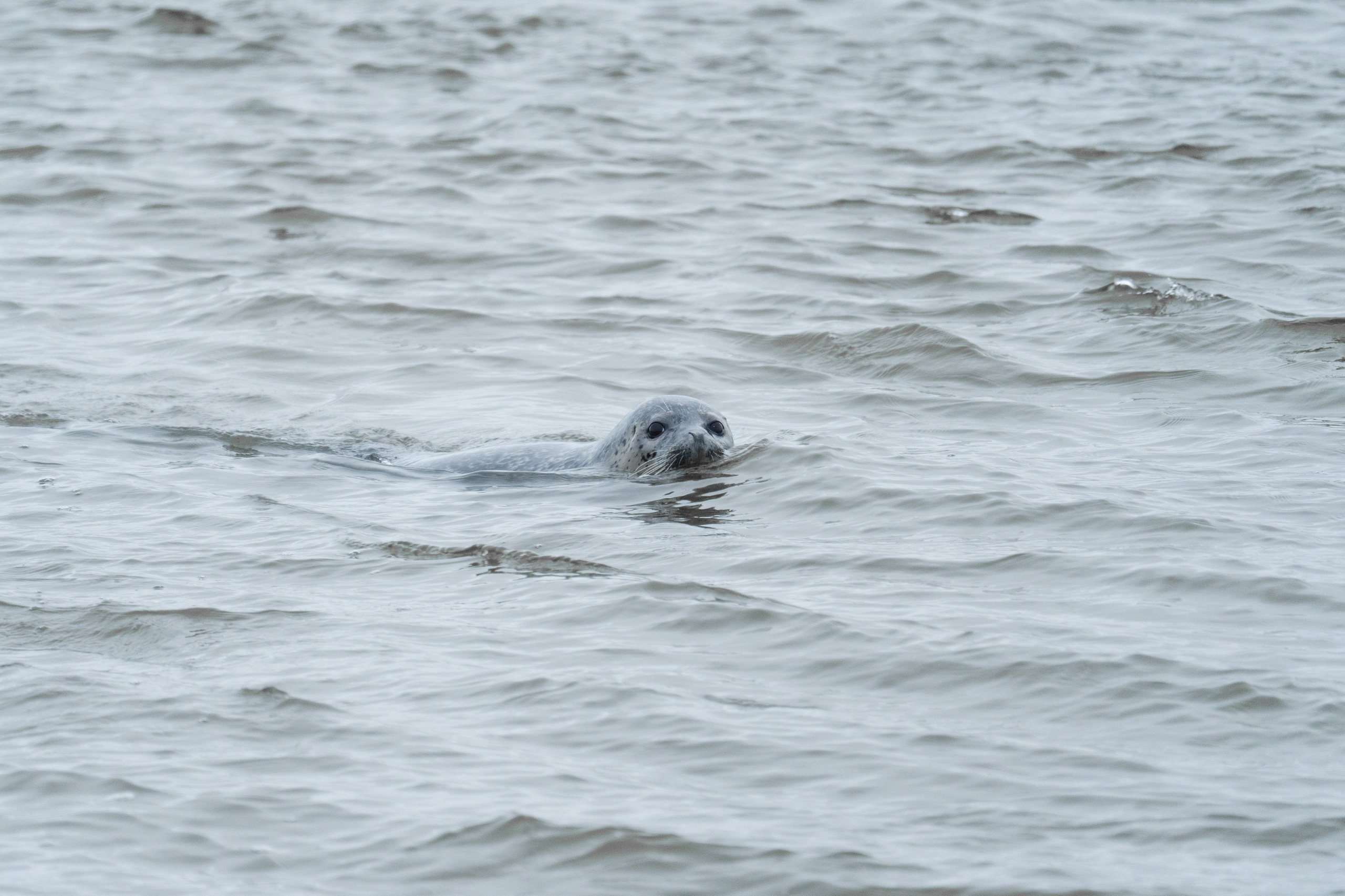 Чукотка. Gusarov Travel Photography