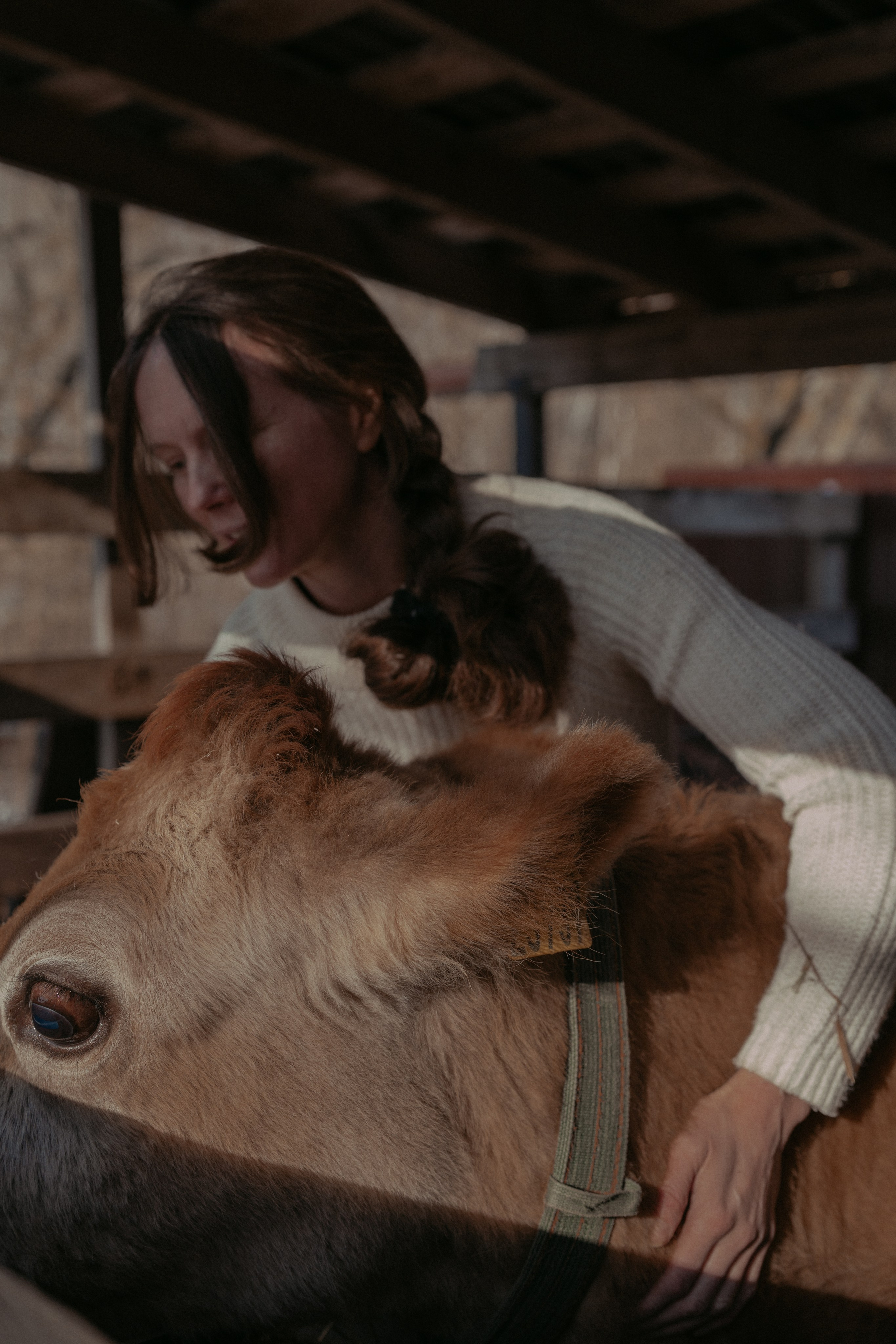 Маша, бигль Вера и её ферма. Семейный фотограф в Москве Алёна Чача