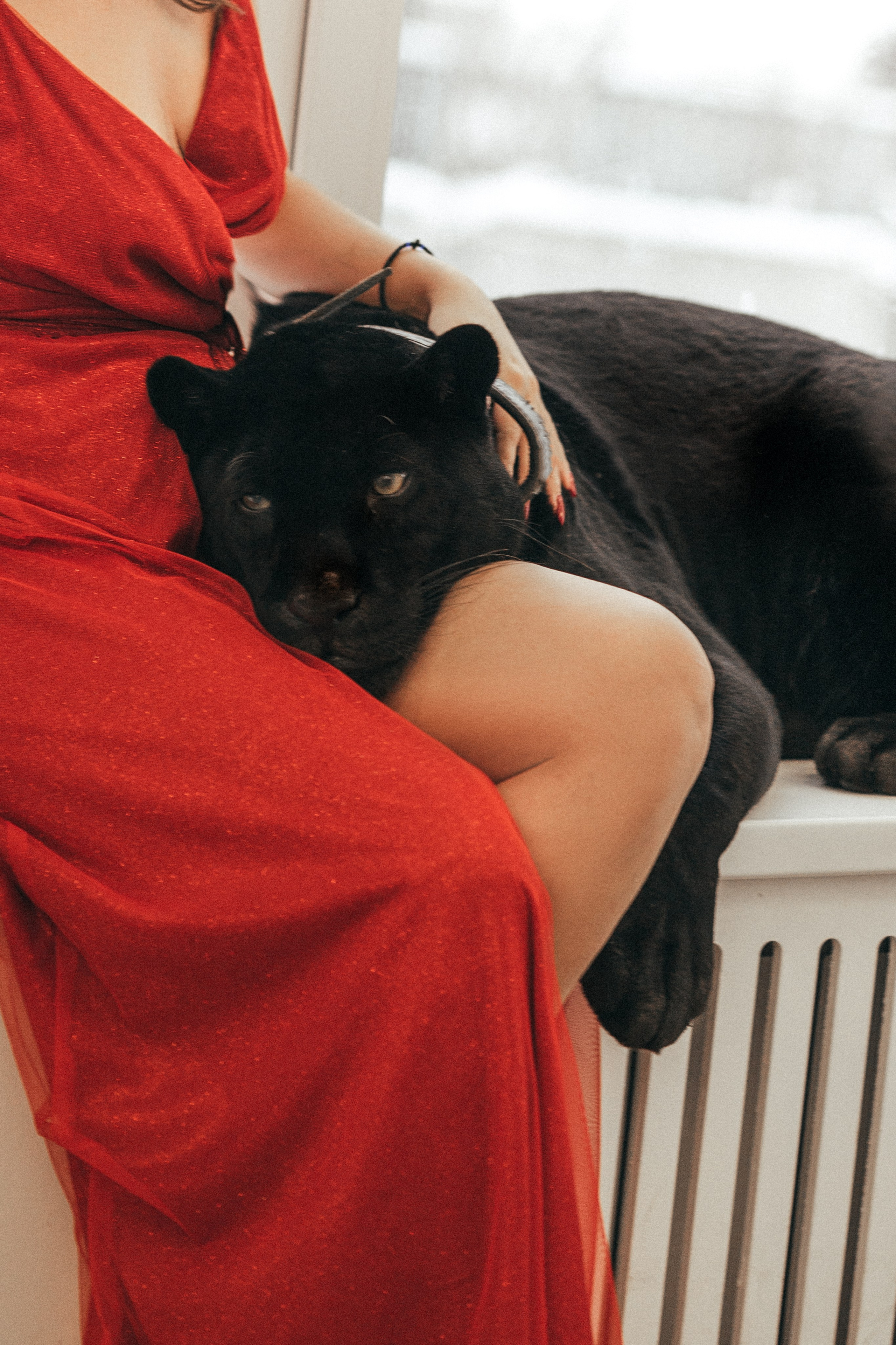 Съёмка с пантерой. Женский и семейный фотограф в Москве Ирина Вертебная