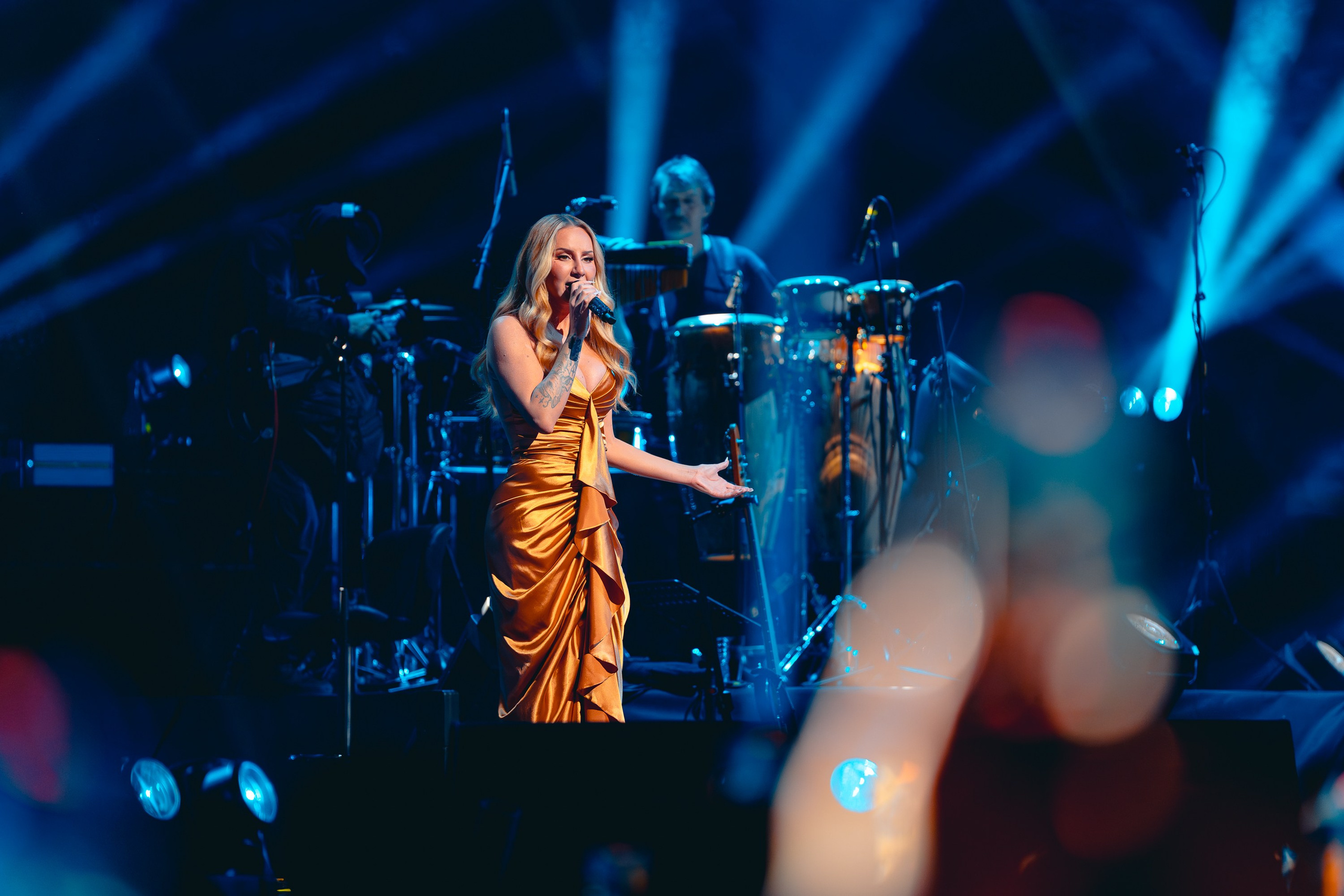 Владимир Пресняков. Магия музыки в кадре: Концертная Фотография