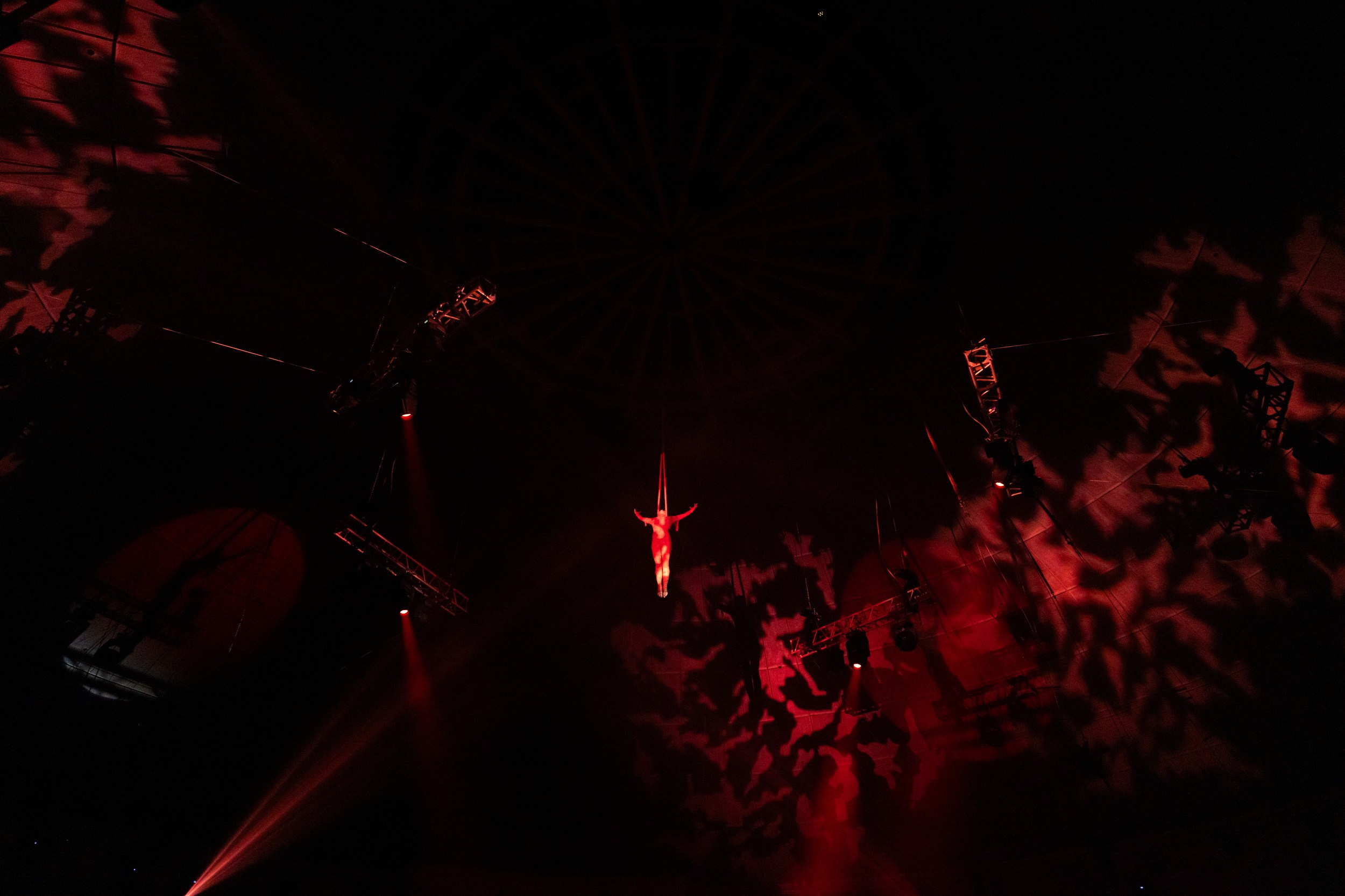 Городской бал выпускников (24 июня 2025). Репортажный фотограф Алексей Пирязев