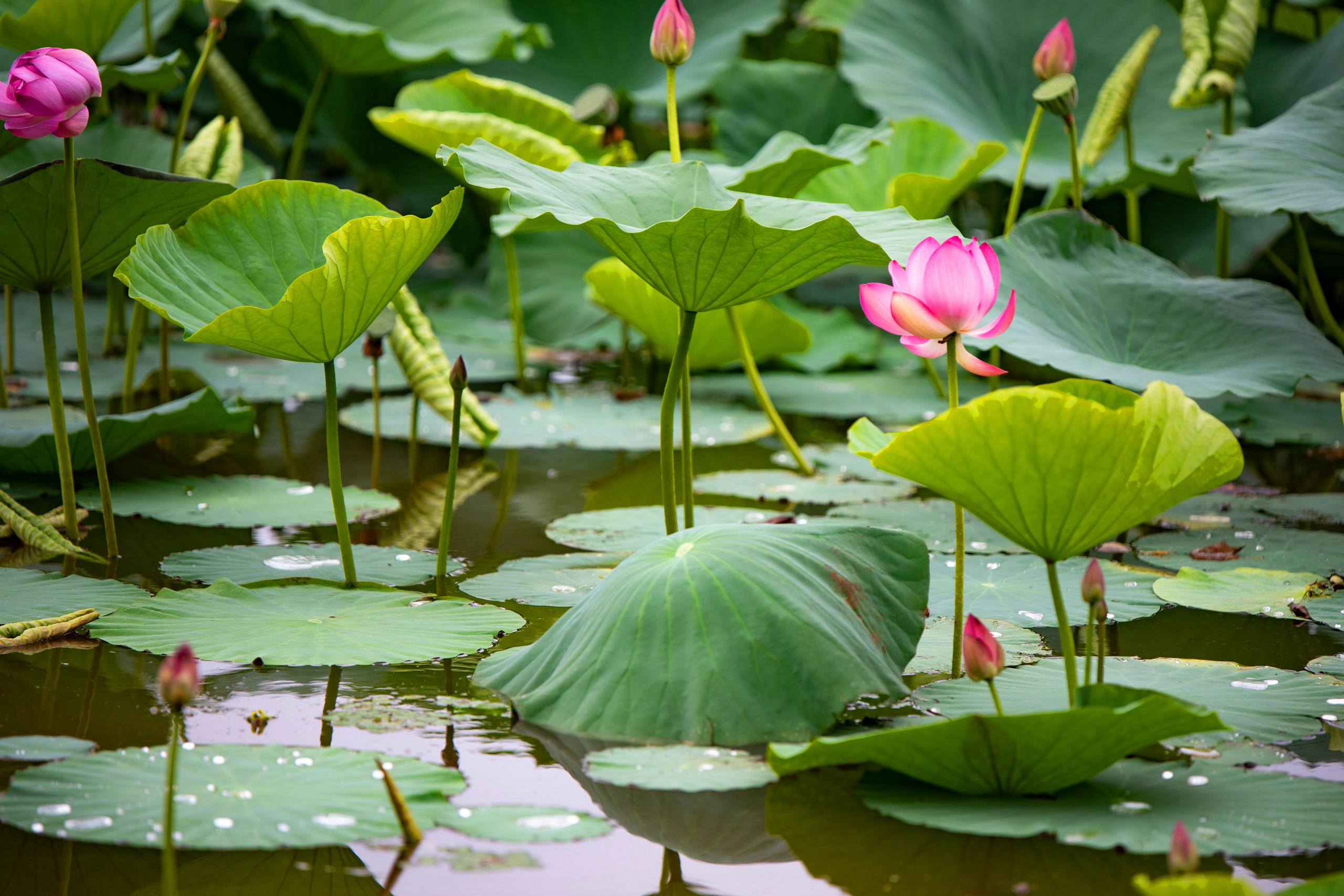 Природа Хабаровского края. Команда фотографов Кристины Ивановой