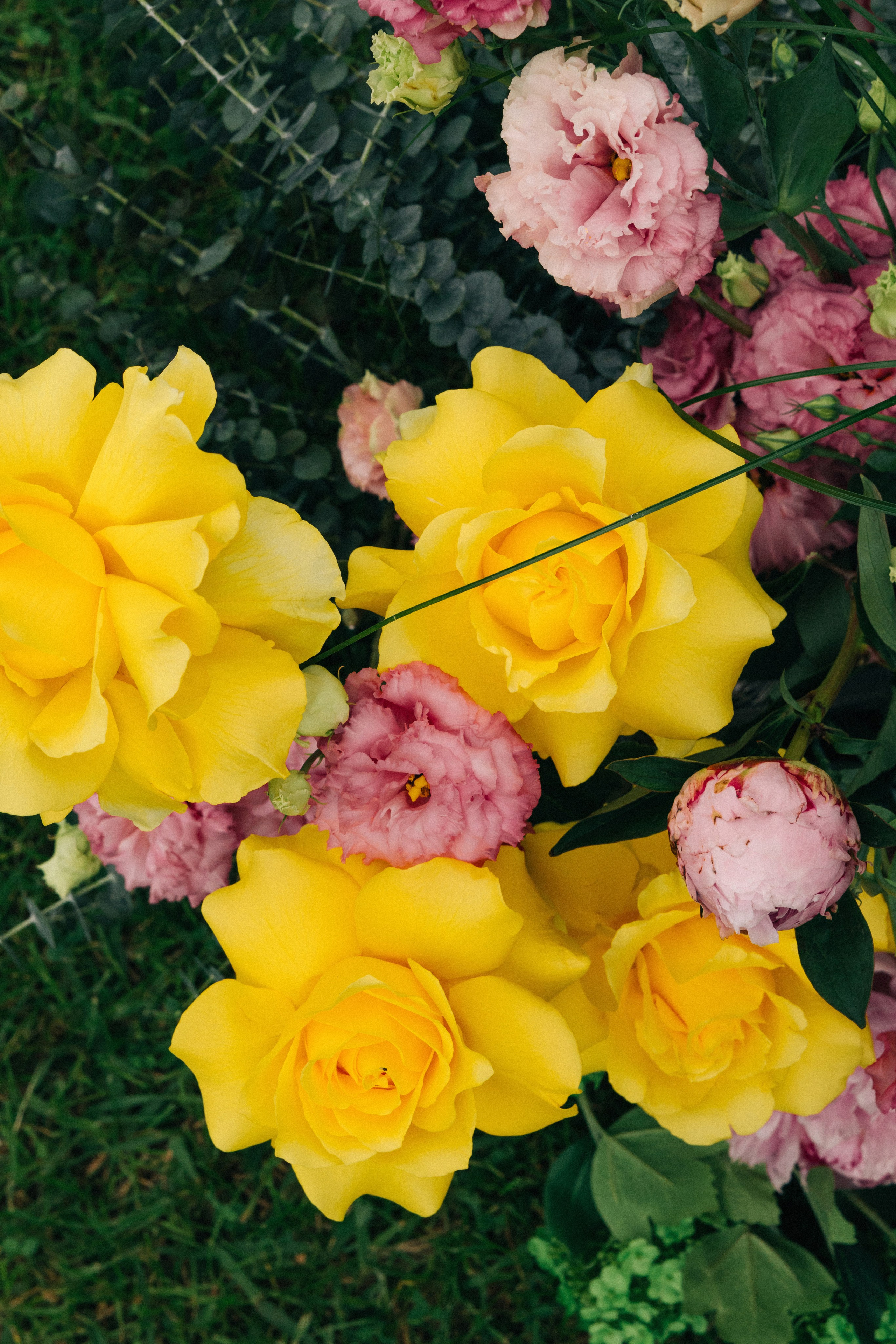 @fruits_family_wedding. Свадебный и репортажный фотограф в Москве Владимир Сергеев | Naysaikolo