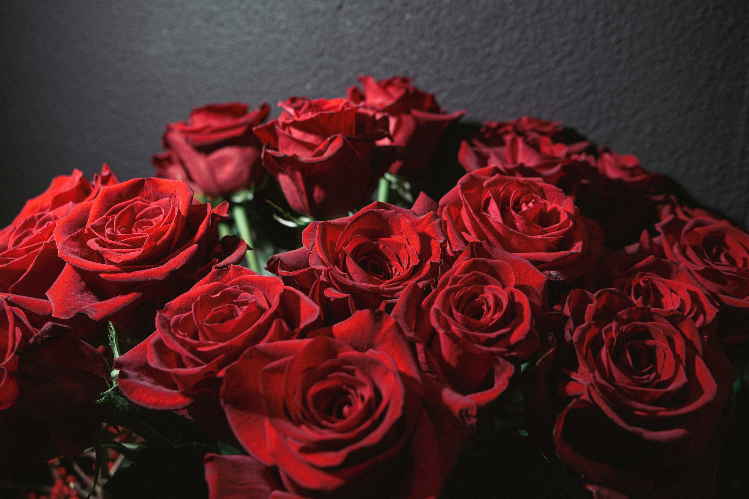 Коммерческая съёмка. Фото и видеосъемка КМВ — свадьбы, недвижимость, меню, туры. Пятигорск, Кисловодск