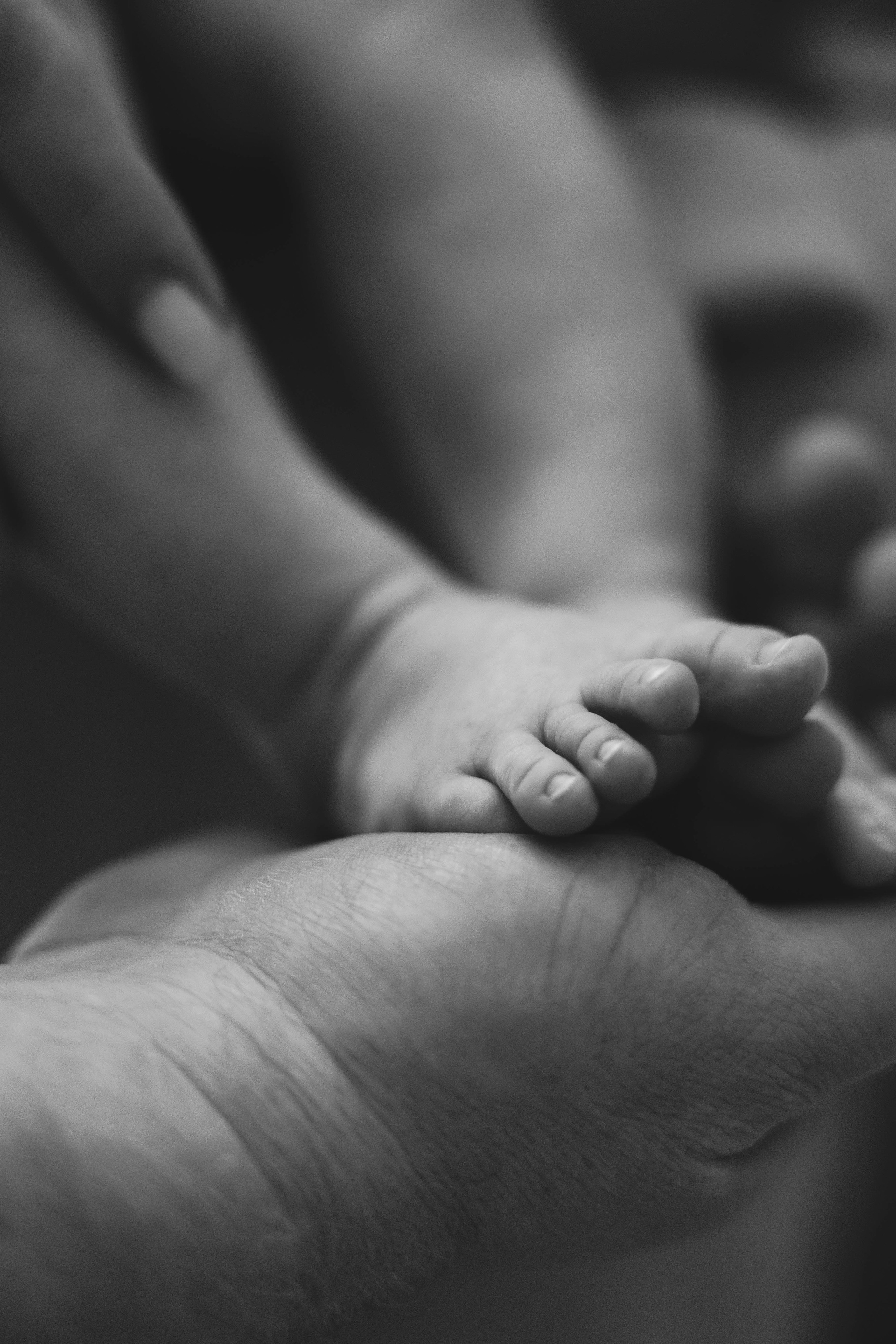 Леон, 3 месяца. Главная