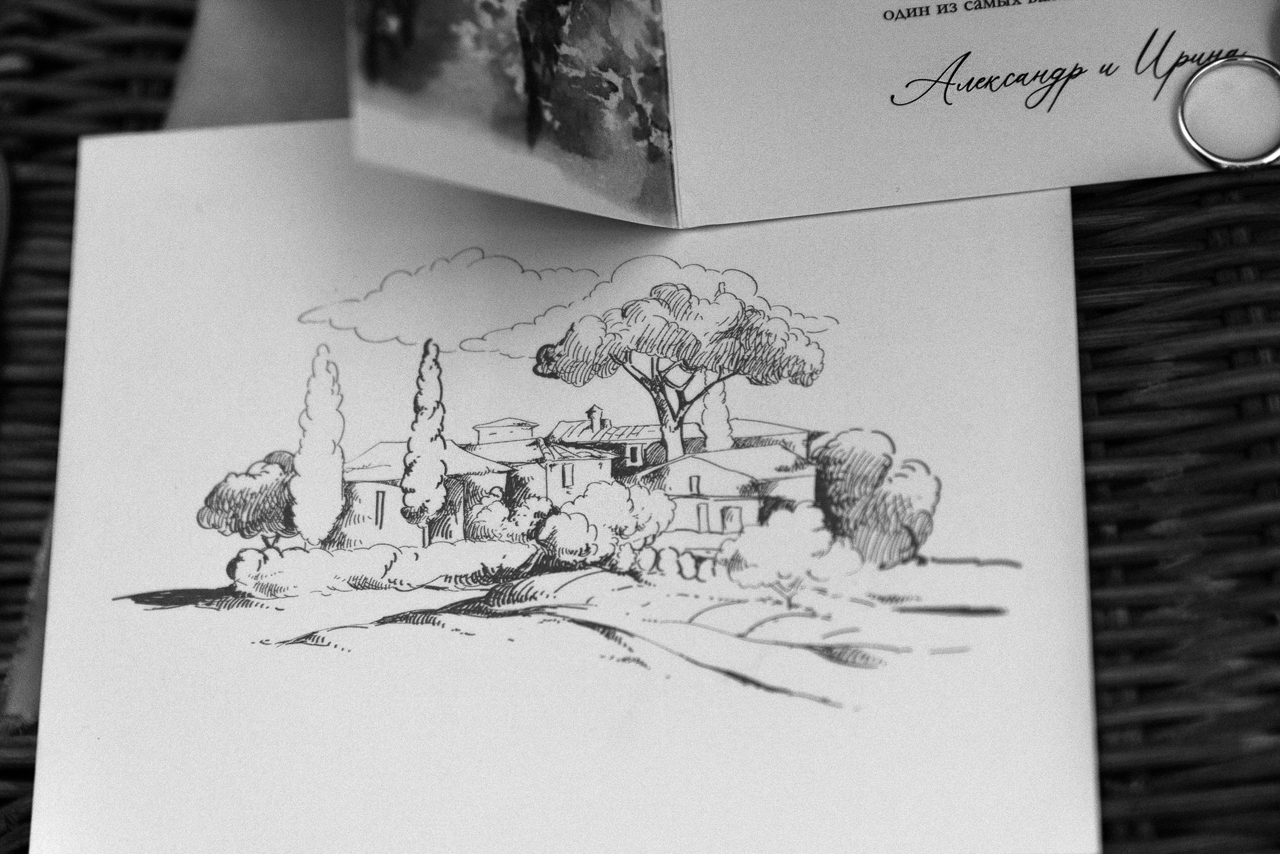 Побеждает любовь (Винодельня Пестиковых). Свадебный фотограф Ольга Ермакович