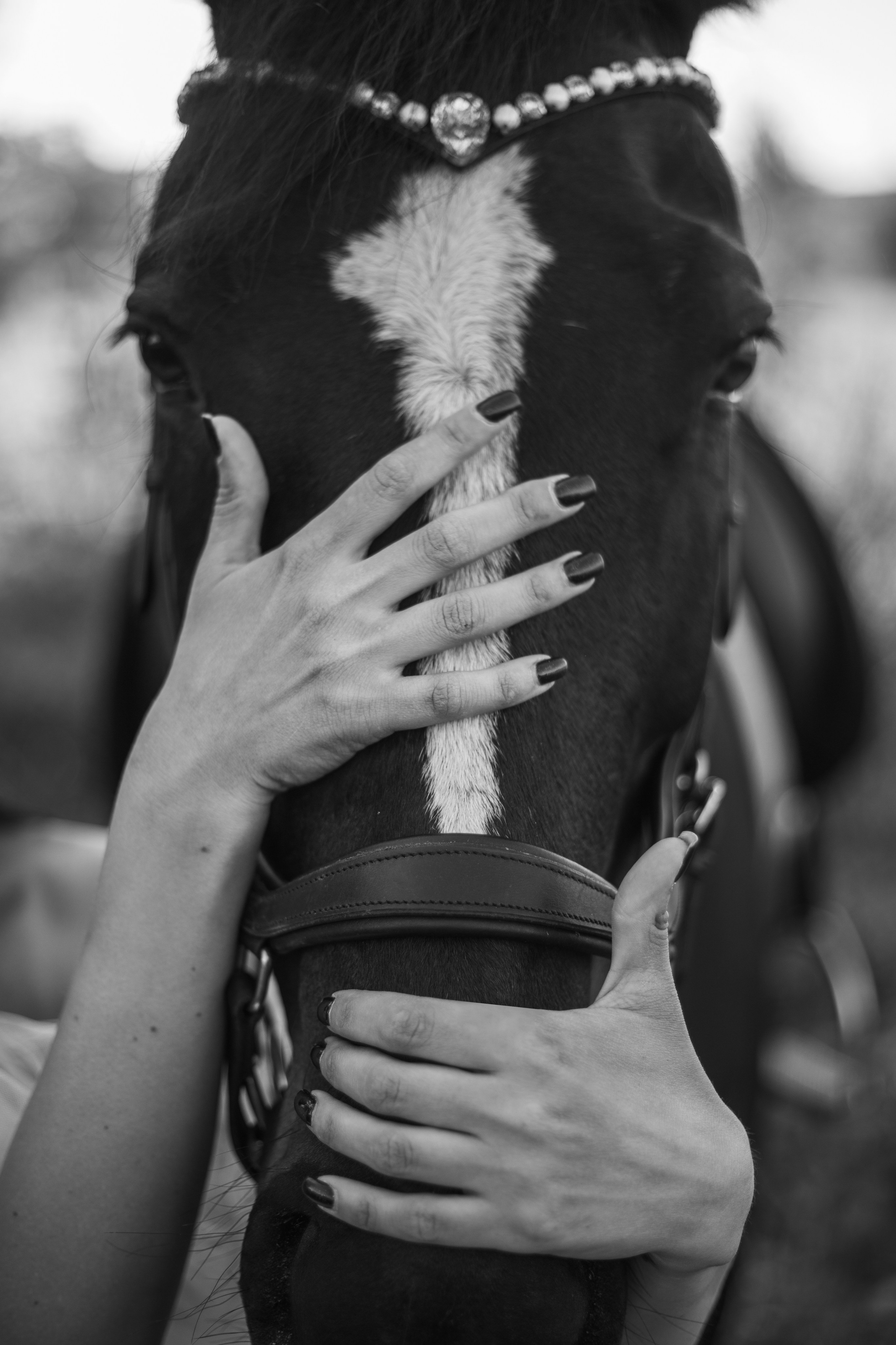 Съемка с лошадьми. Женский и семейный фотограф в Москве Лисовская Юлия