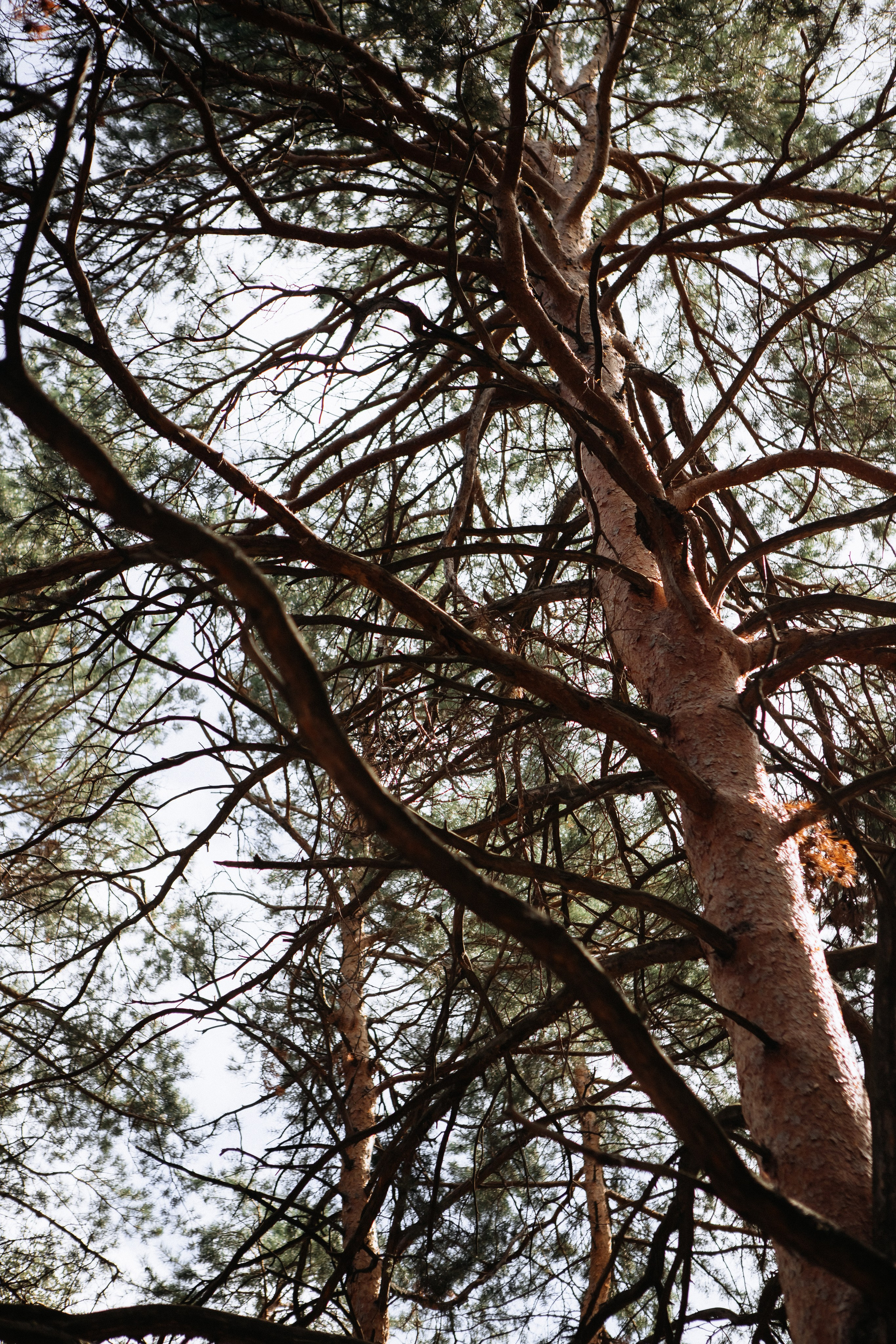 Свадебная выездная церемония. Главная