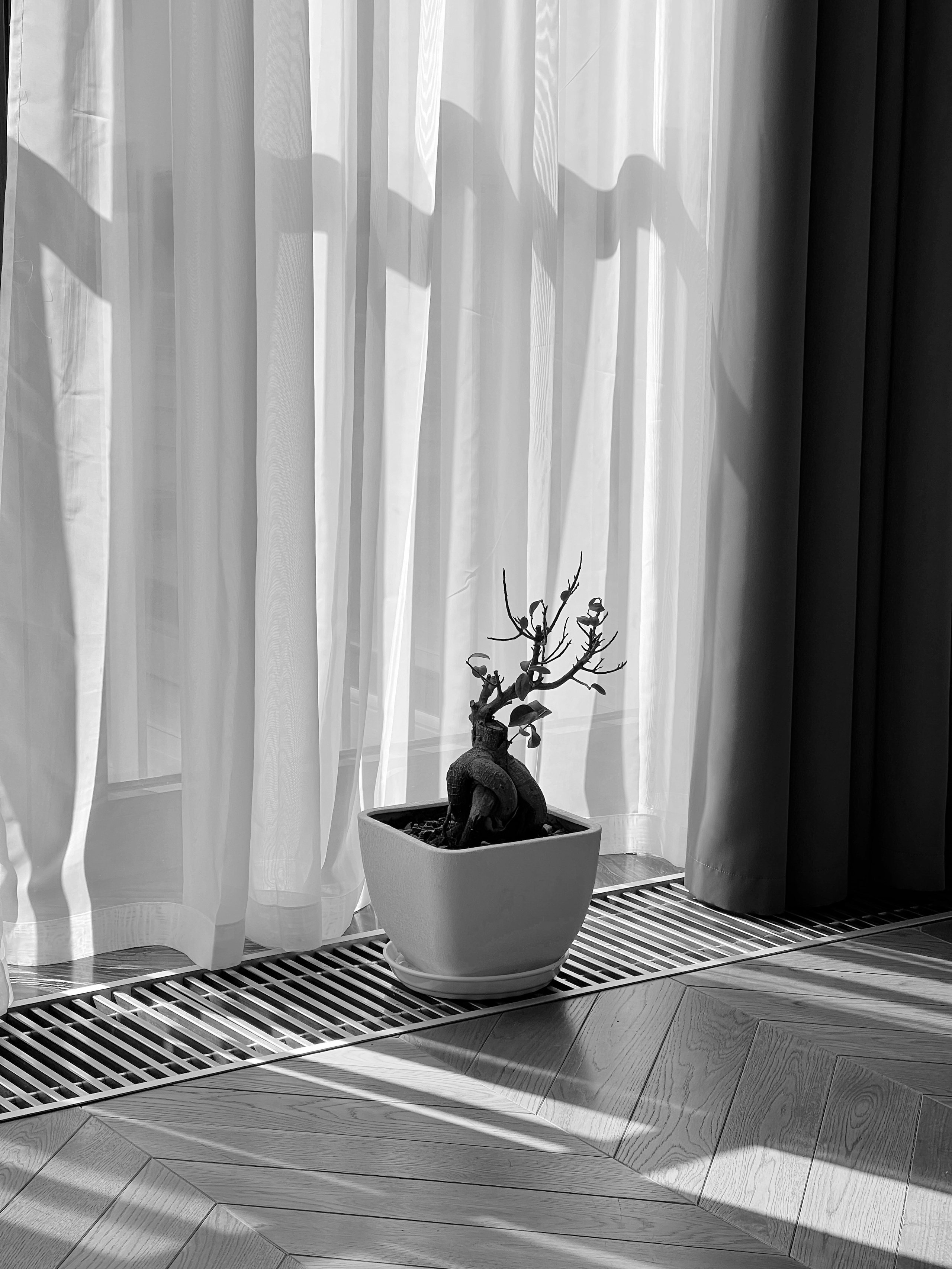 Мой мир. LAMOURCEVA | fashion photographer