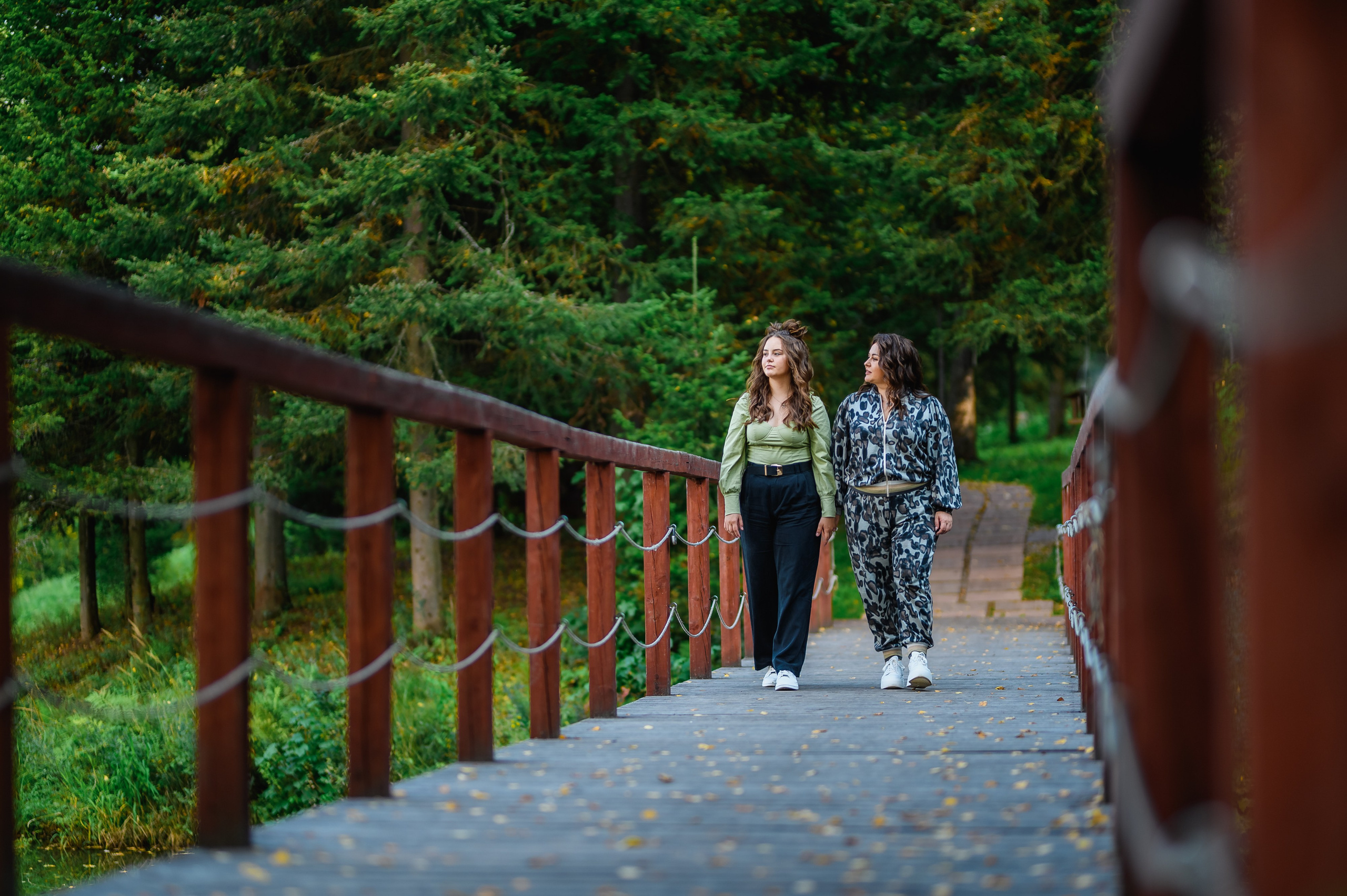 Кедровка. ProfotoNK